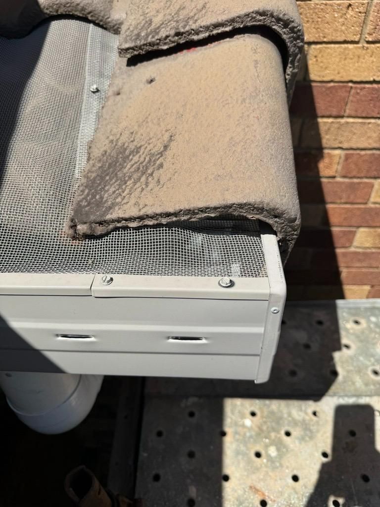 Cleaning Gutters Of Leaves And Dirt — Gutter Guards In Lismore NSW