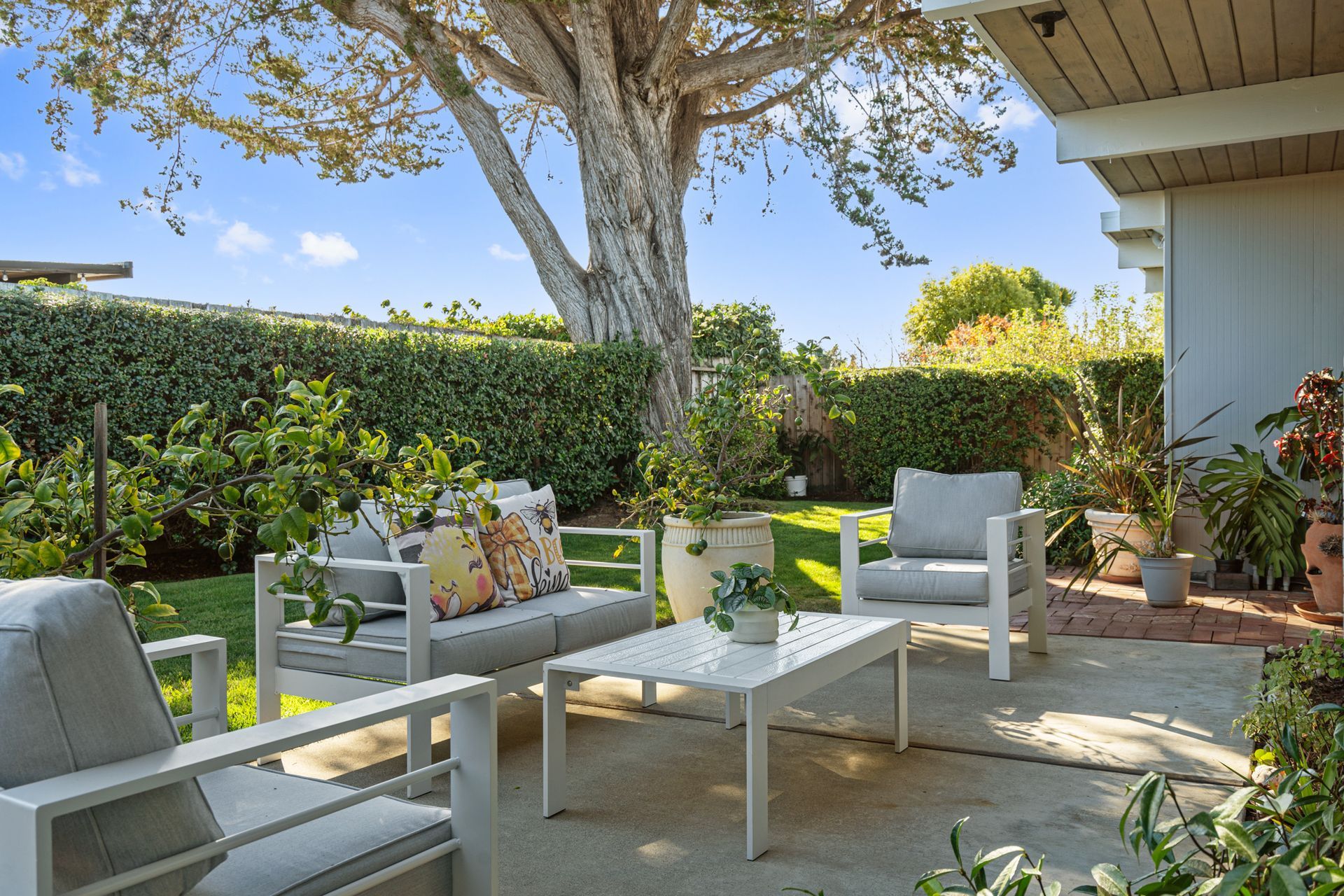 A patio with a couch , chairs , and a table with a tree in the background.