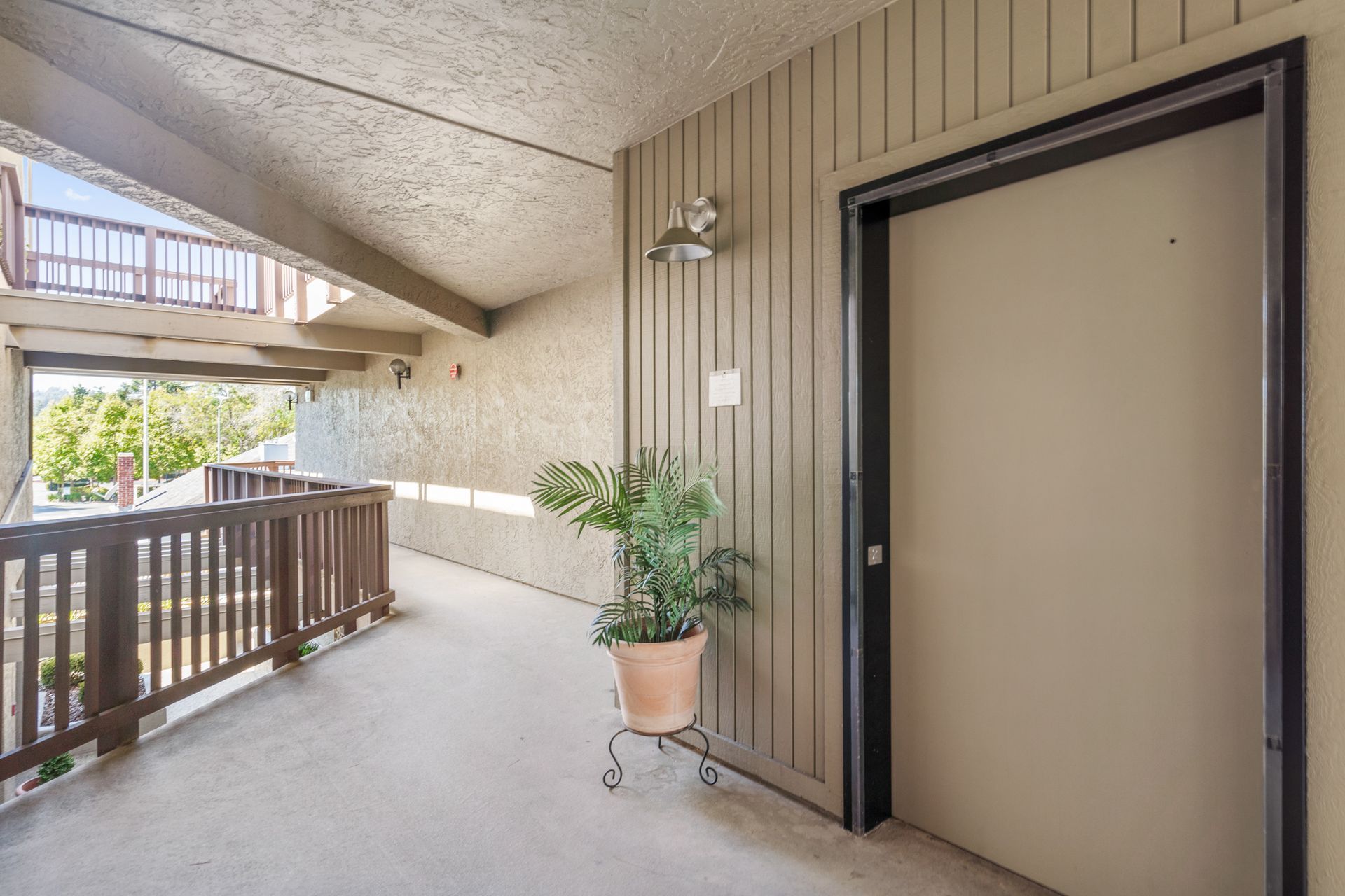 A hallway with a potted plant in the middle of it and a door.