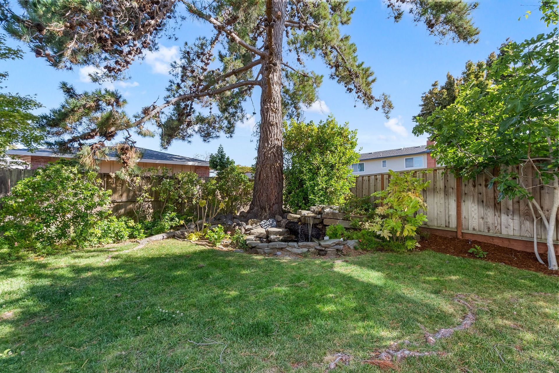 There is a large tree in the middle of the backyard.