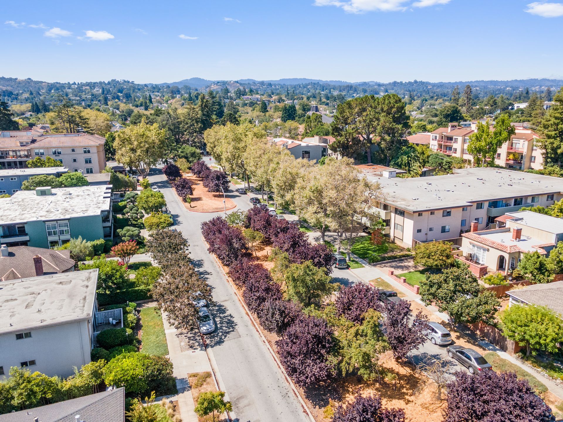 An aerial view of a residential area with trees and buildings