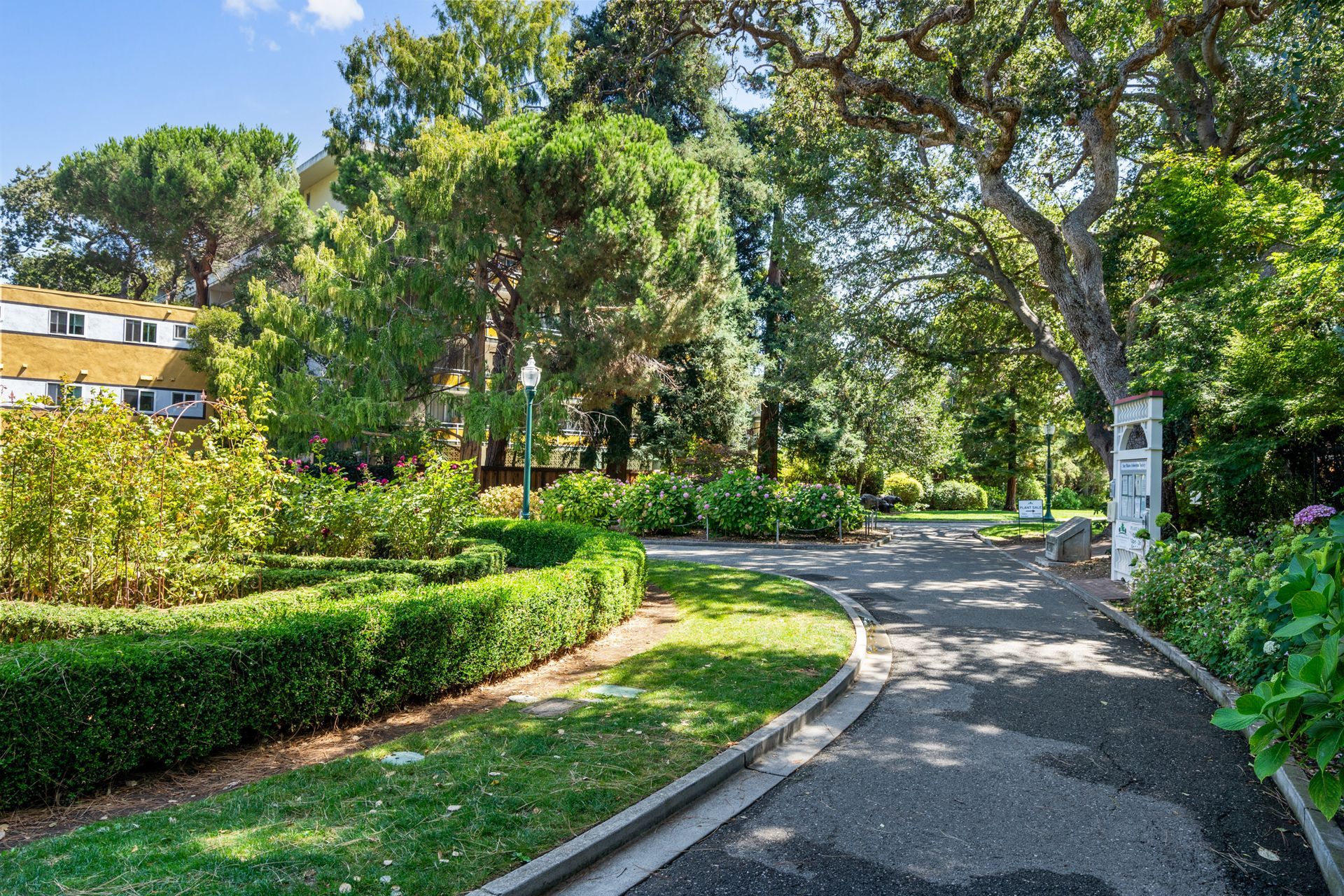 A path in a park surrounded by trees and bushes on a sunny day.