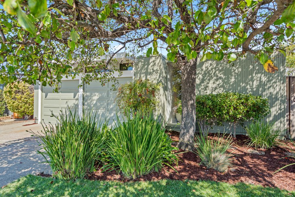 Welcoming mid-century exterior framed by mature landscaping, presented by Rumana Jabeen & Associates to inspire buyers and show sellers how curb appeal is marketed.