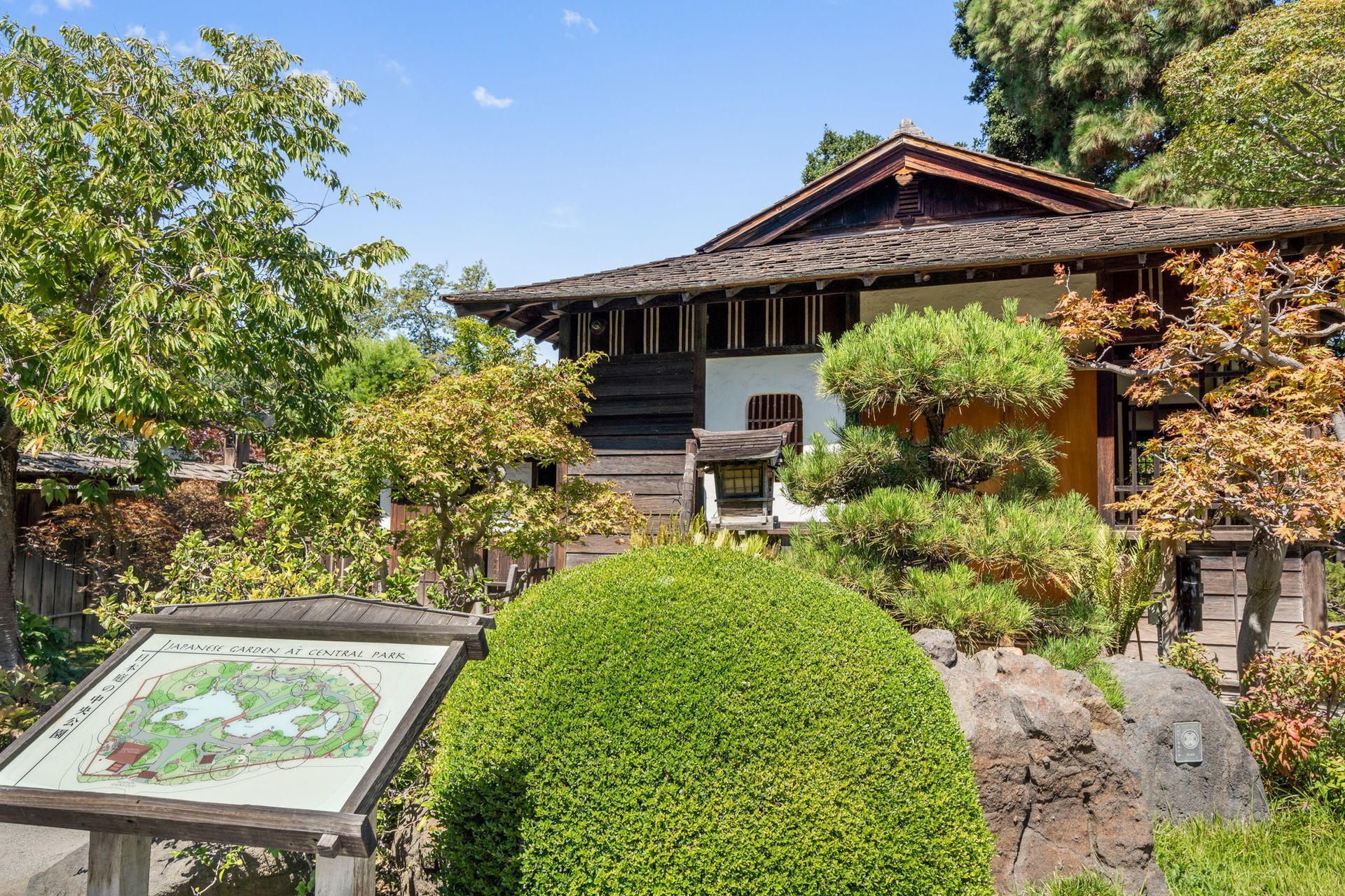 A house is surrounded by trees and bushes in a garden.