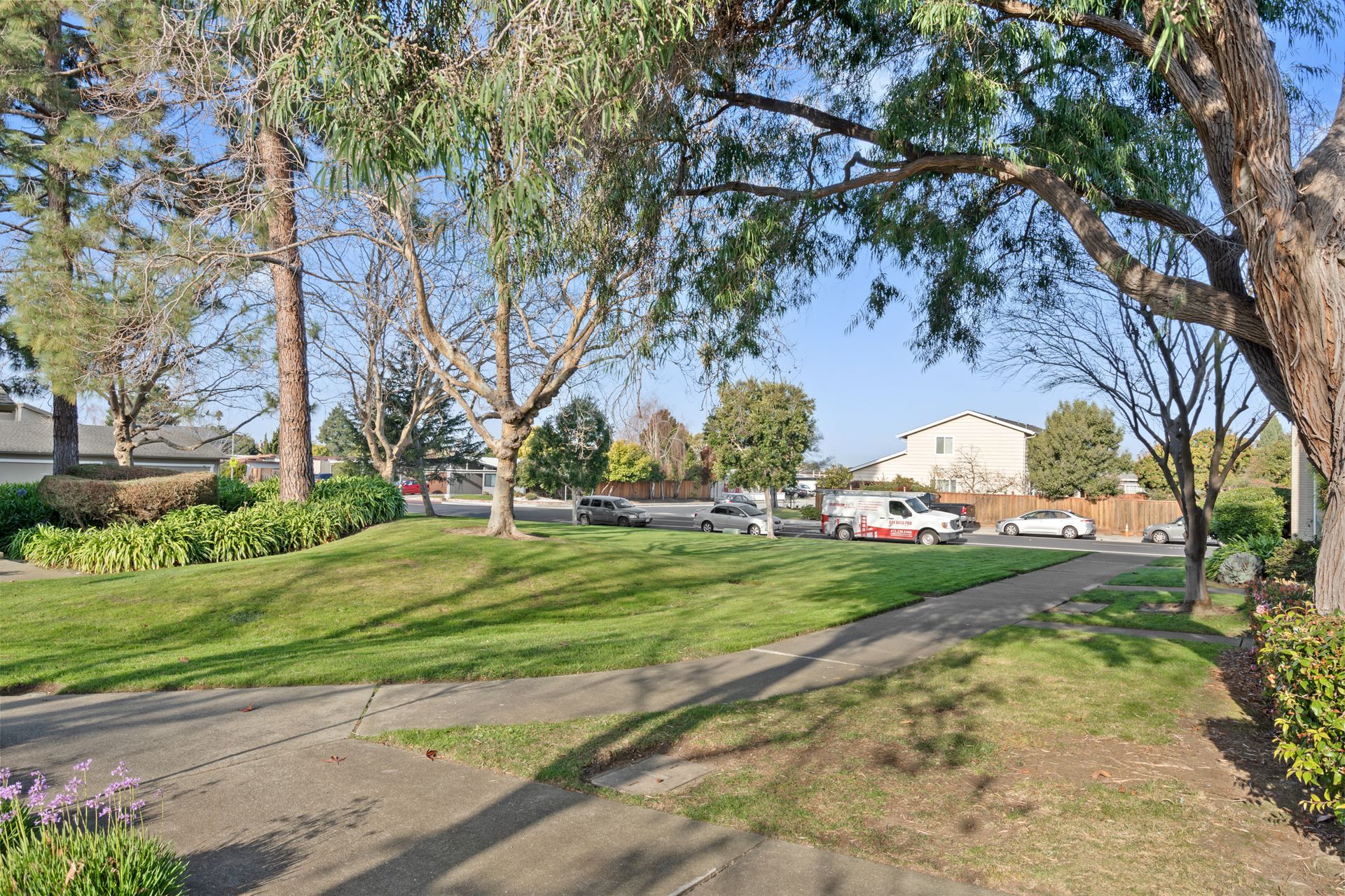 A park with trees and a path going through it