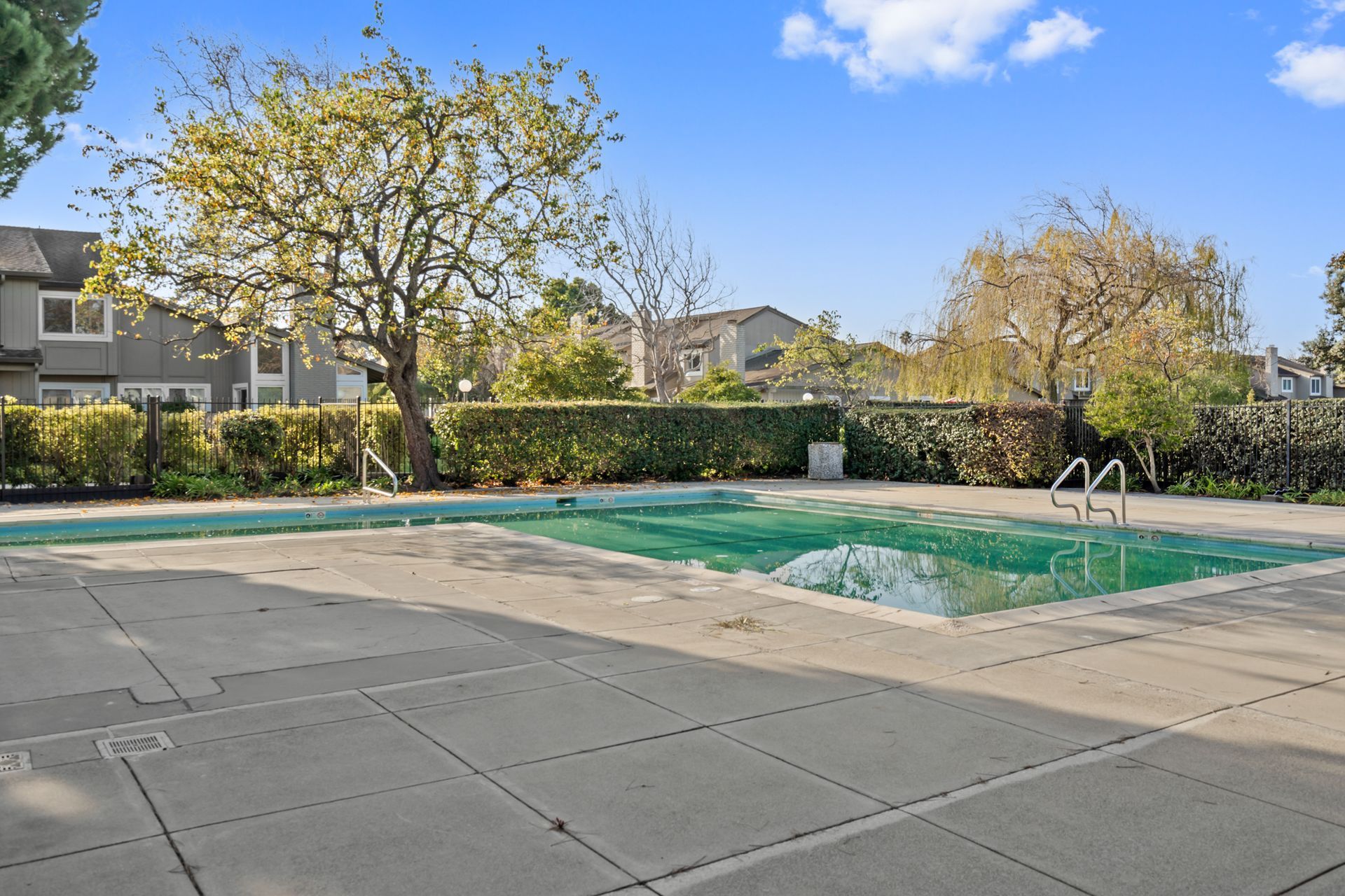 A large swimming pool with a tree in the background