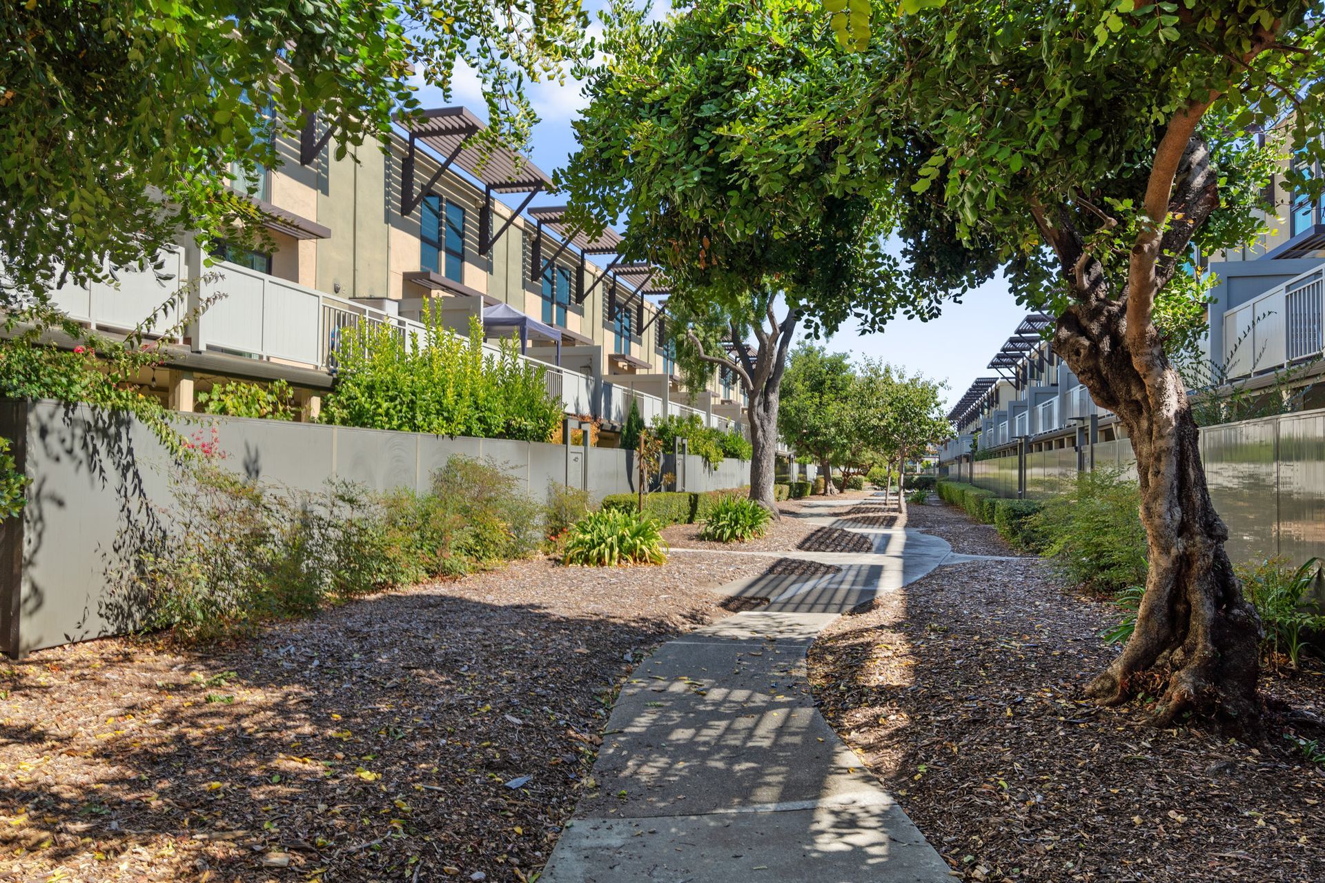 A sidewalk leading to a row of buildings surrounded by trees.