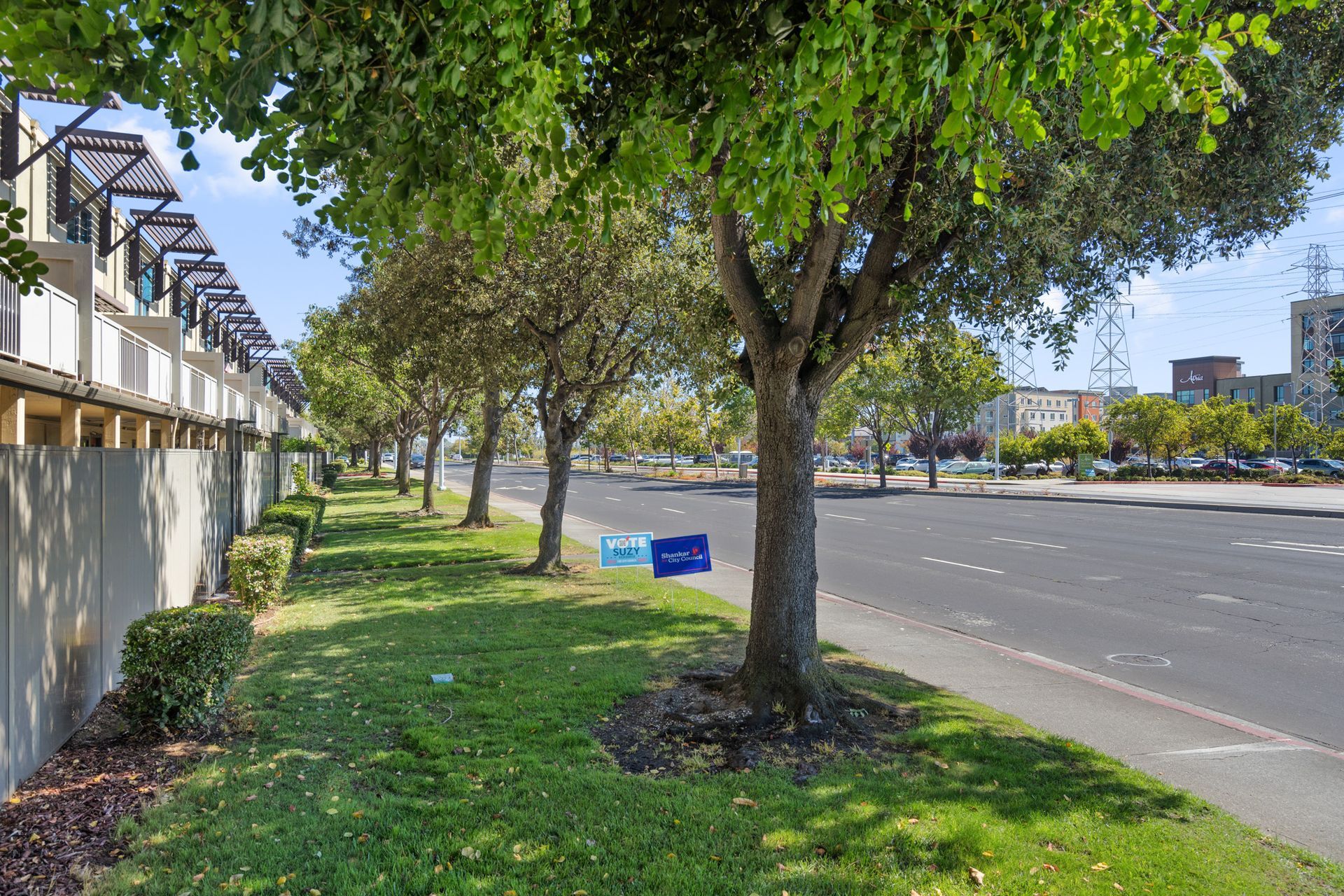 A row of trees along a sidewalk next to a road.