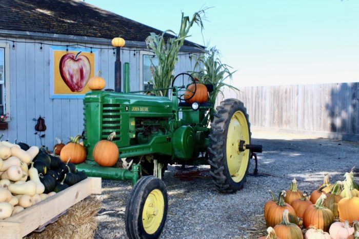 A green tractor is parked in front of a building decorated with pumpkins.