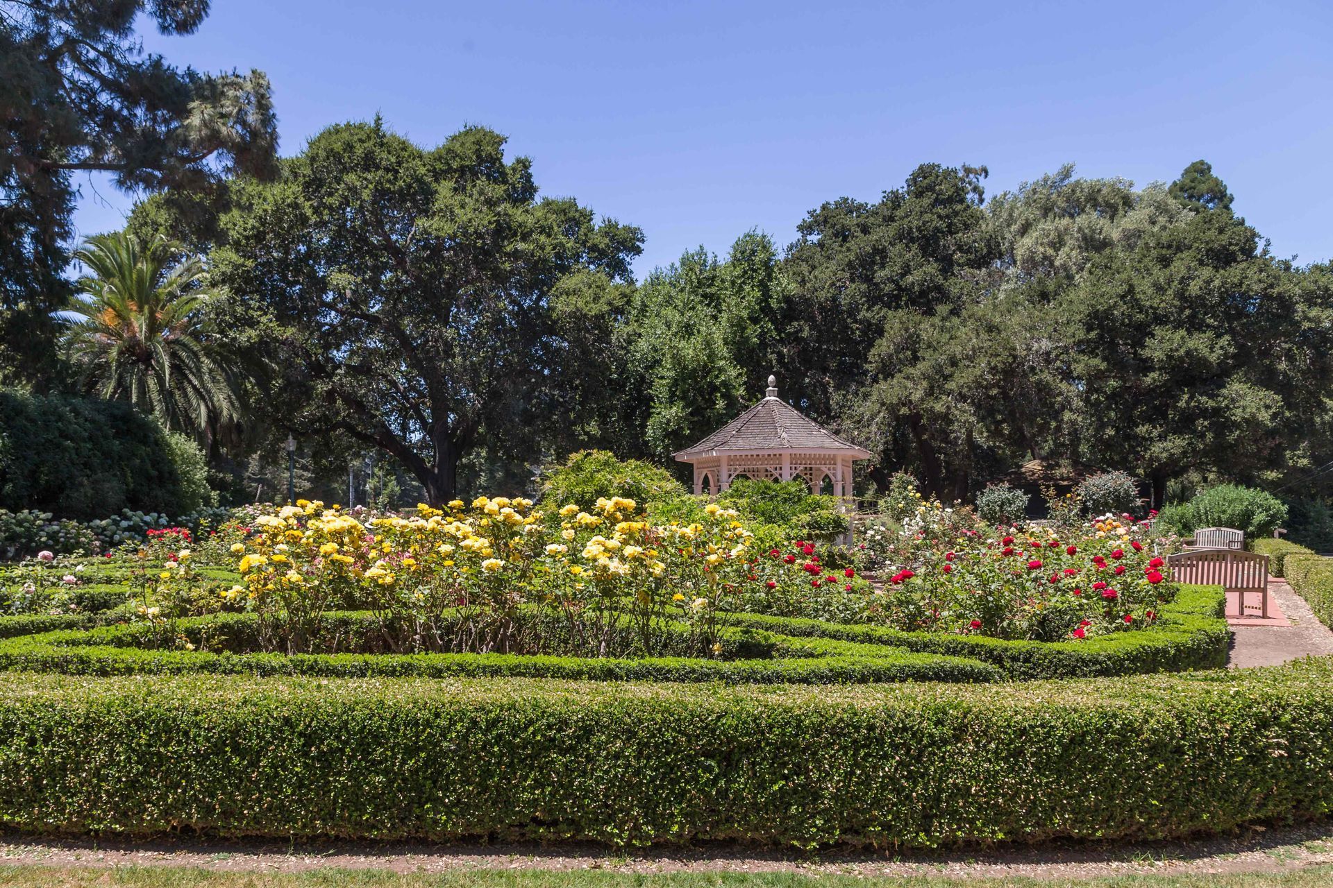 A lush green garden with a gazebo in the background