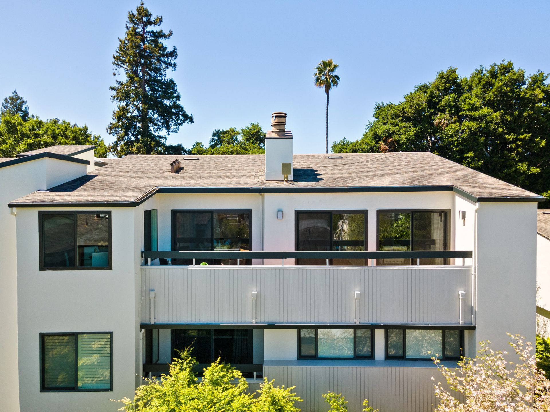 A white building with a palm tree in the background