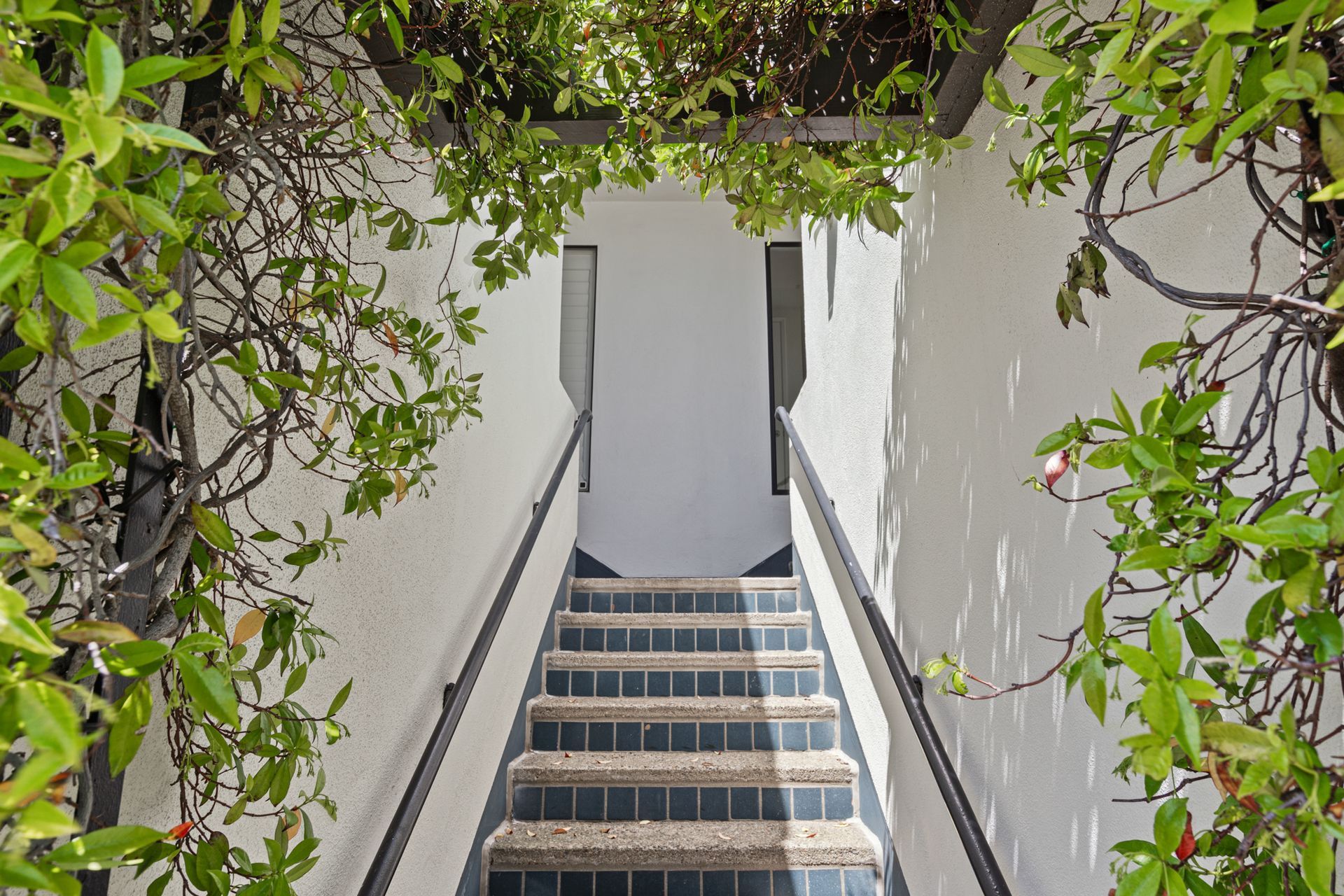 A set of stairs leading up to a building surrounded by trees.