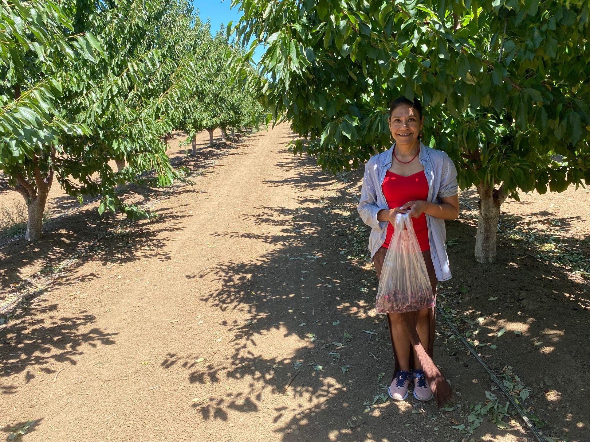 A woman in a red dress is standing in a field of trees.