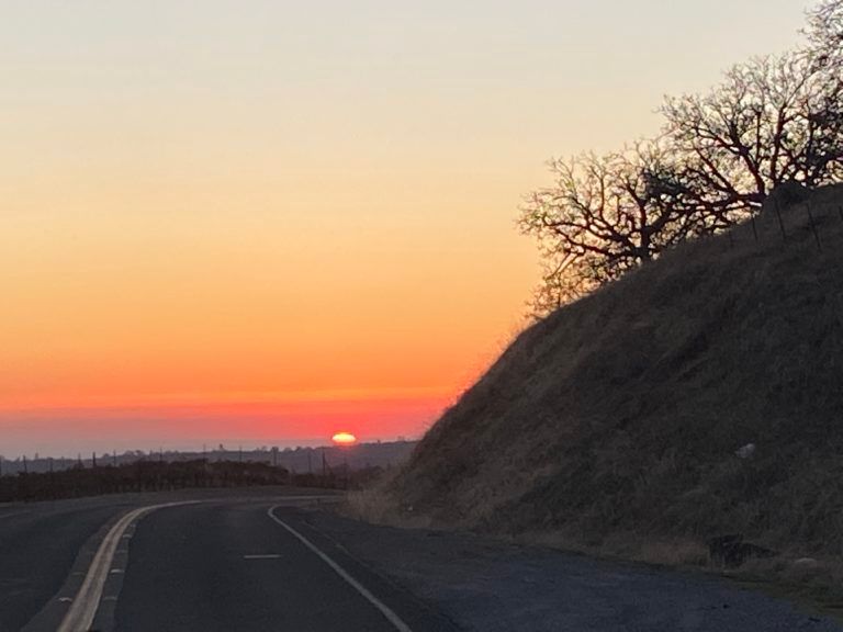 A road with a sunset in the background and trees on the side