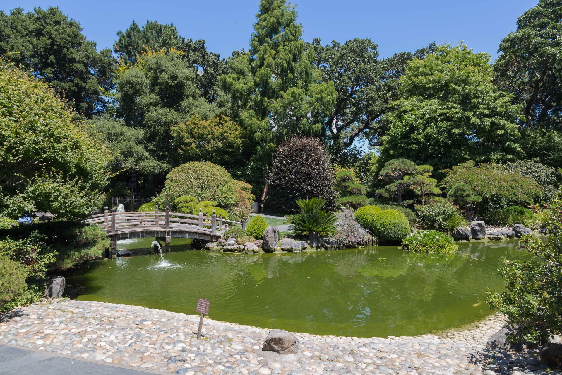 A pond surrounded by trees and a bridge in a park