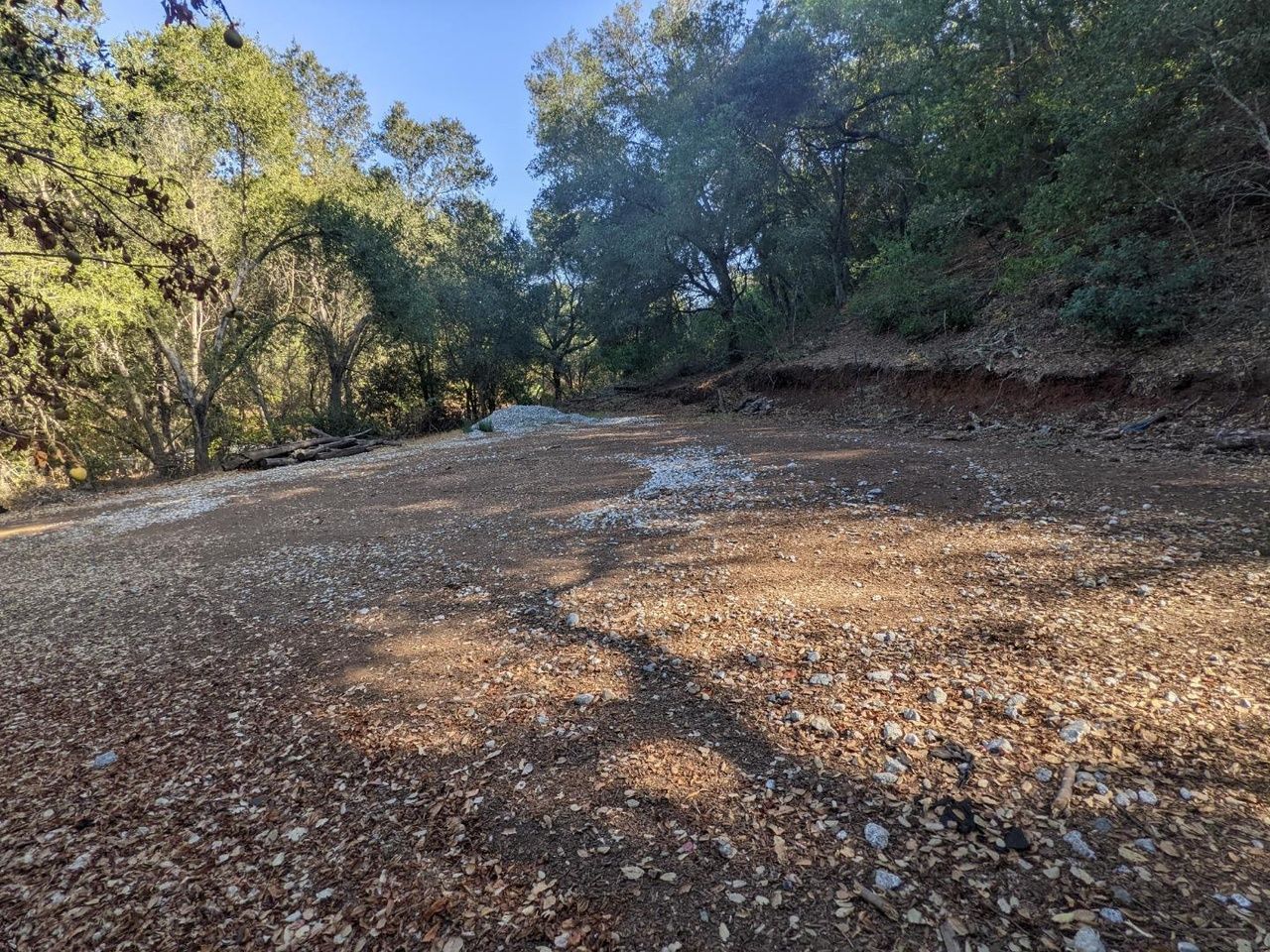 A dirt road going through a forest with trees on both sides.