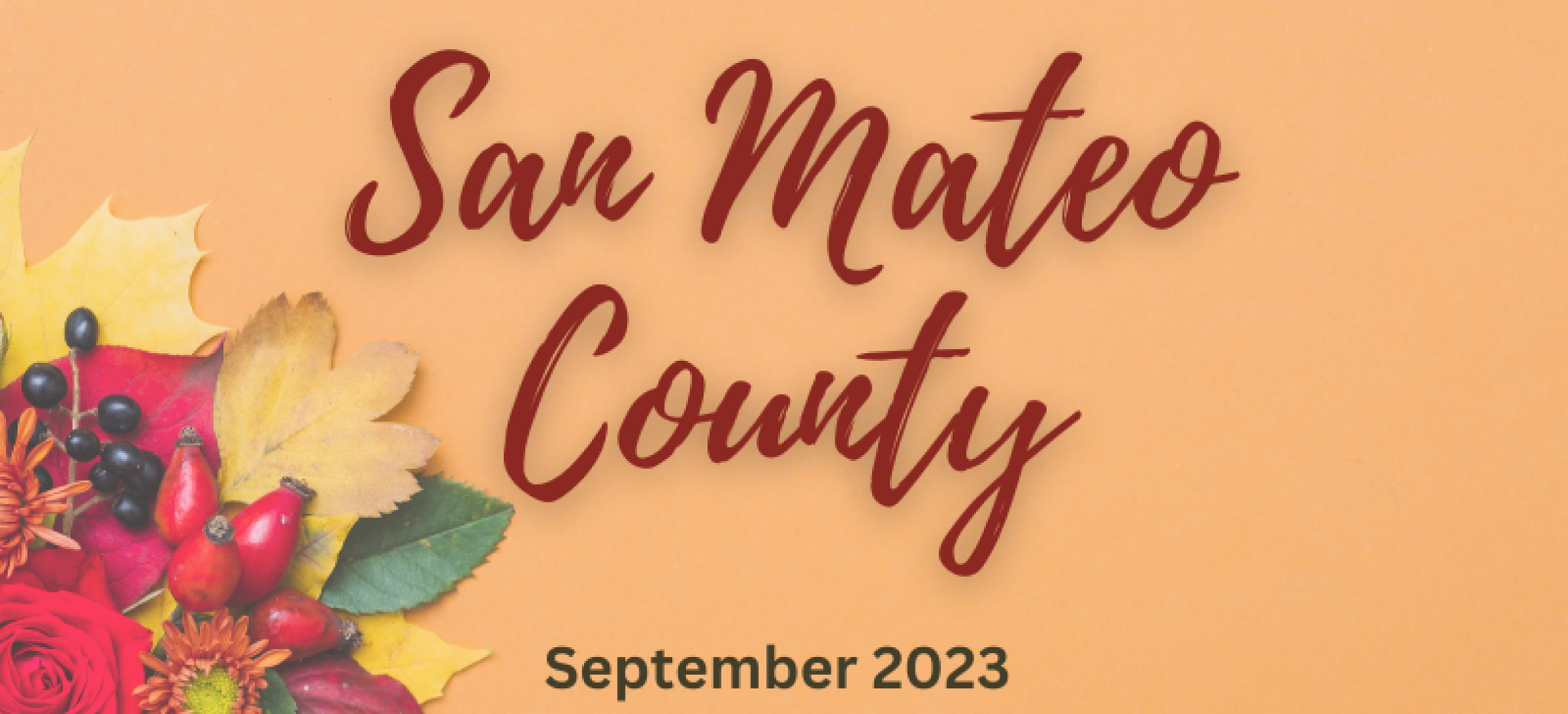 A banner for san mateo county with autumn leaves and berries