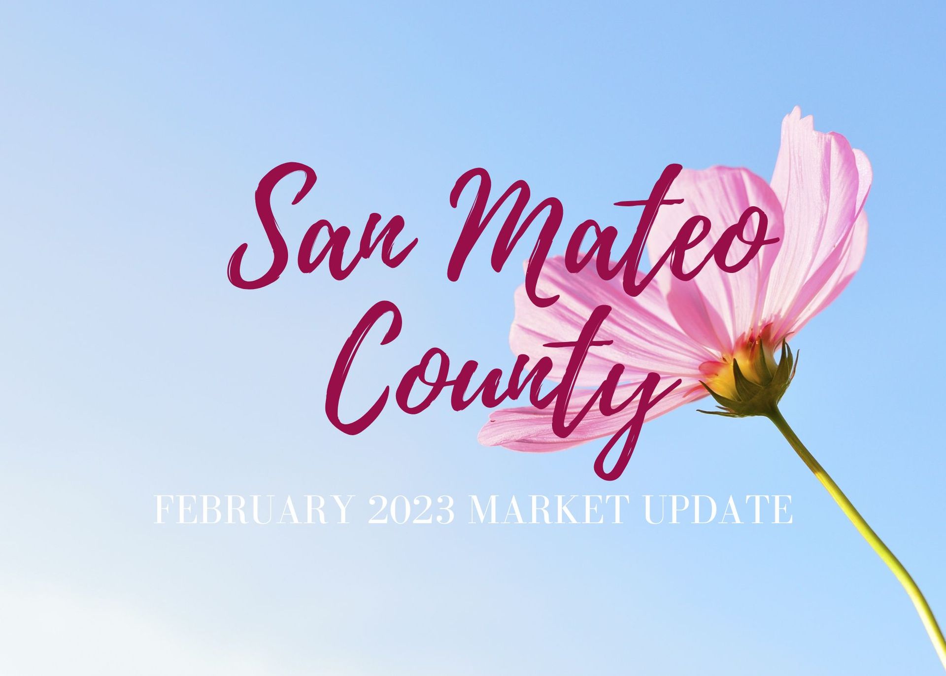 A pink flower is against a blue sky with the words san mateo county february 2023 market update.