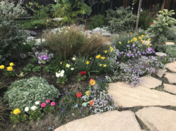 There are many different types of flowers in the garden.