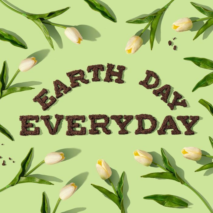 The words earth day everyday are surrounded by flowers and leaves on a green background.