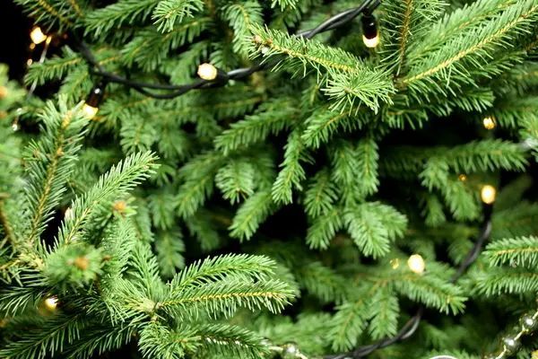 A close up of a christmas tree with lights on it.