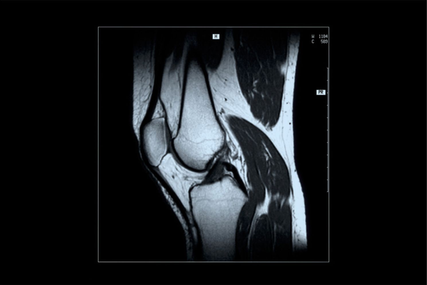 DR. JORGE HERNÁNDEZ SANTACRUZ Y GUEVARA