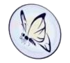 Logo for Matt O'Neill Electronic Organ Service & Sales, featuring an organ silhouette and text.