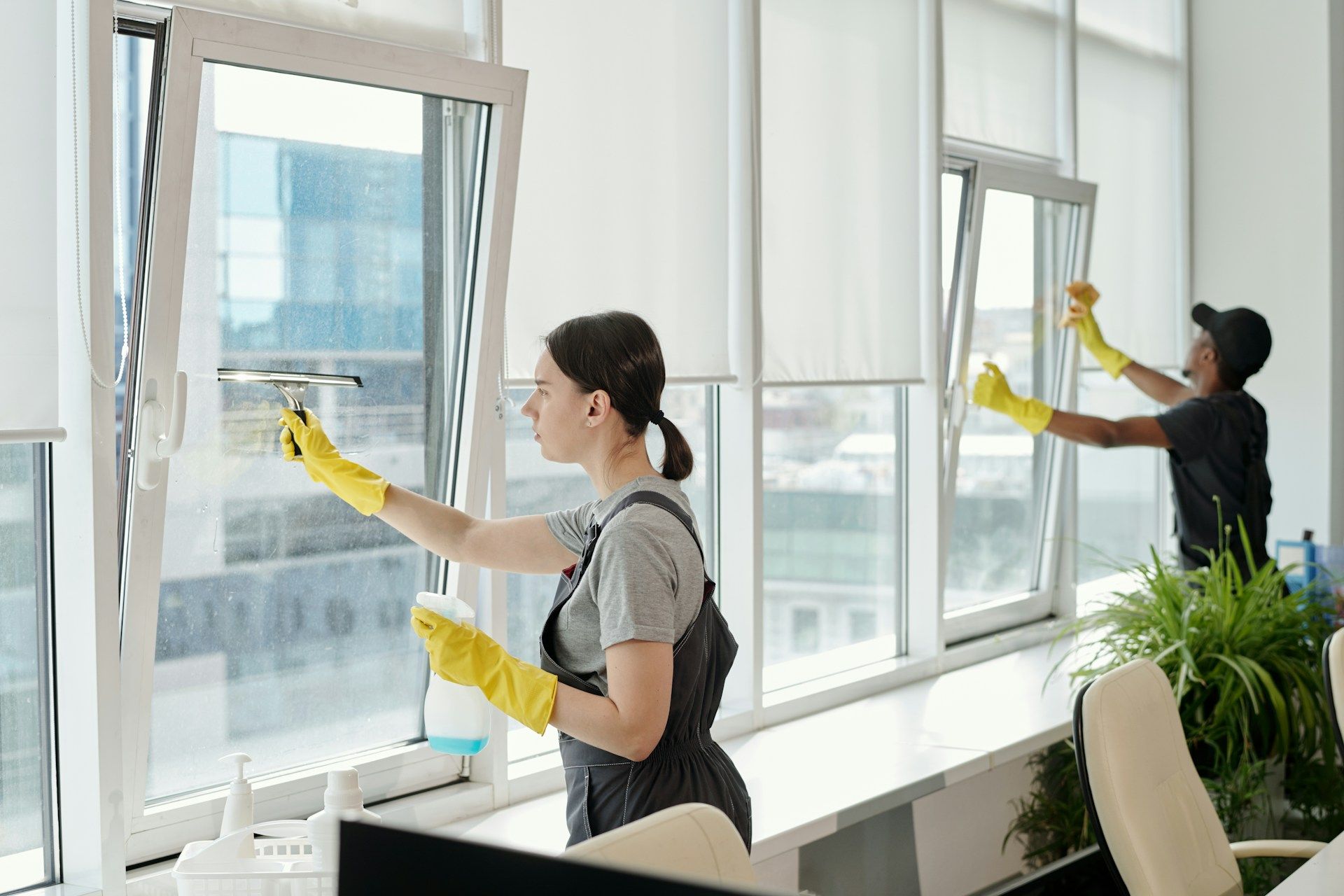 Property Maintenance