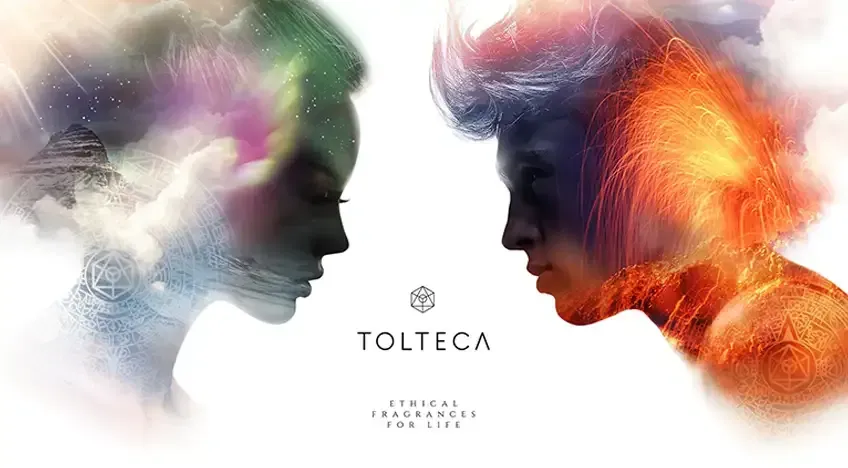 TOLTECA Conseil, Direction artistique, Branding / Identité visuelle, Design produit, Packaging, Expérience client 