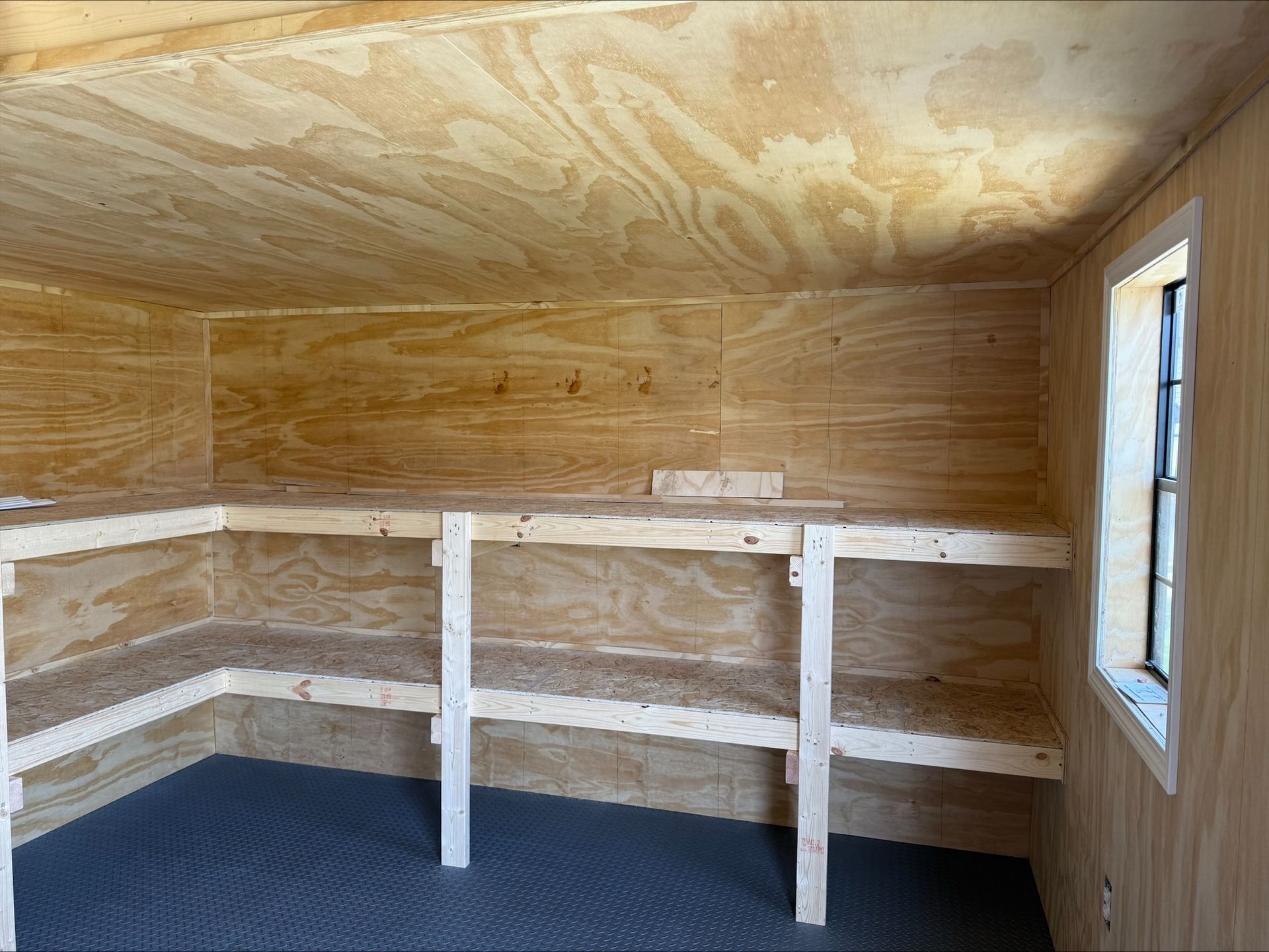 Small plywood storage shed with built-in wooden shelves and a window on the right.