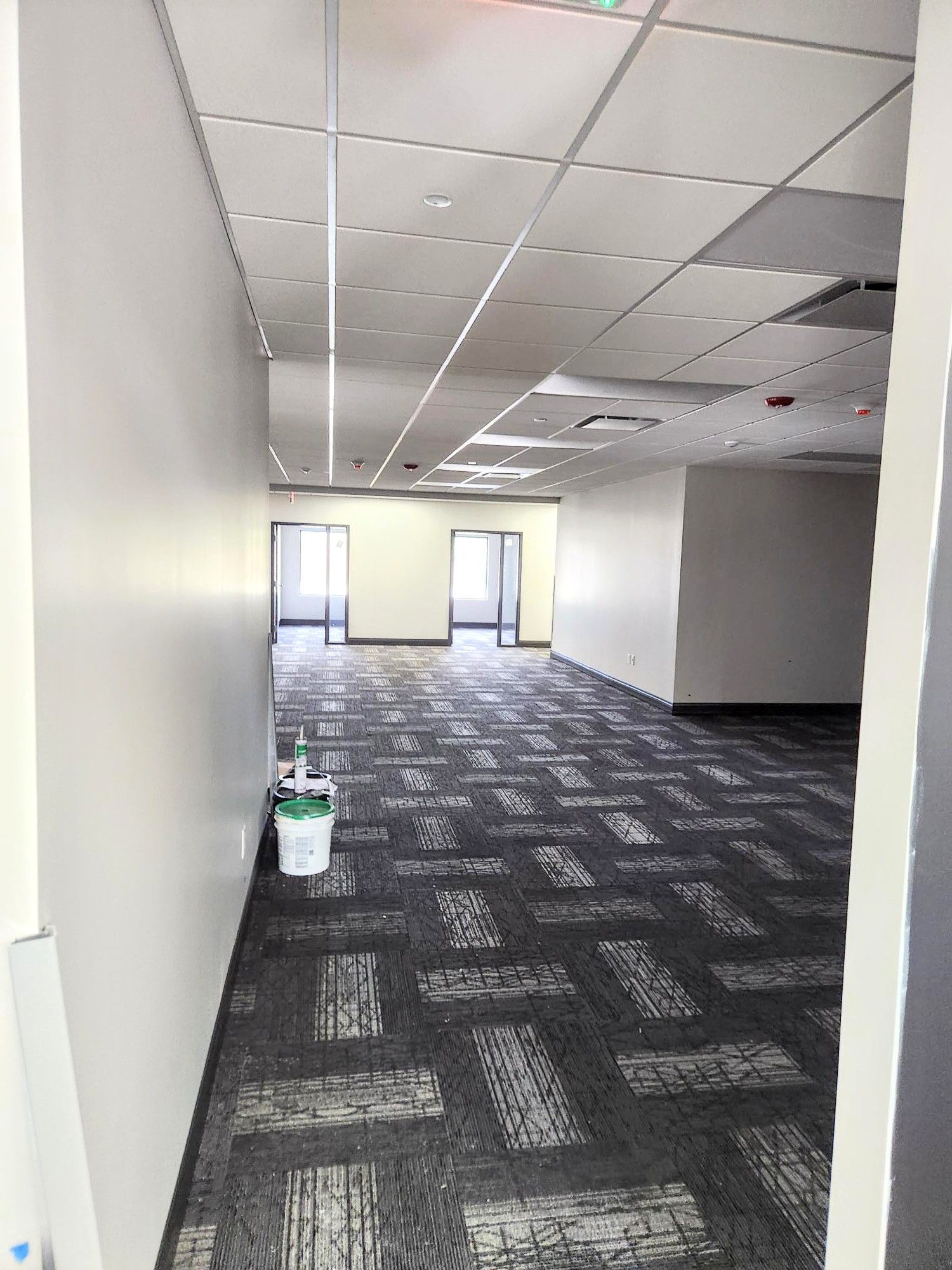 Empty office space with gray carpet, white walls, dropped ceiling, and daylight from rear windows