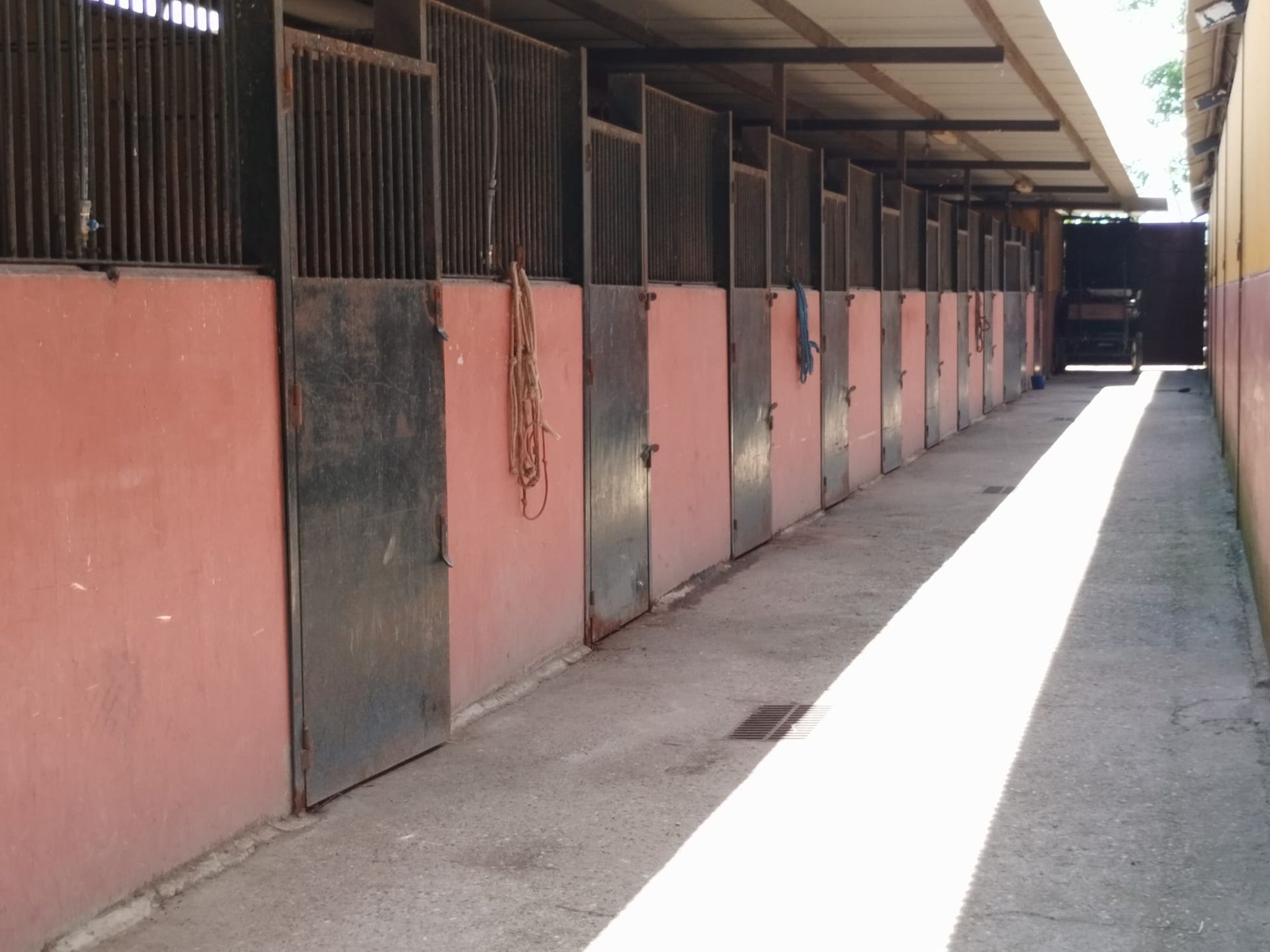Una fila de establos de caballos vacíos con paredes rojas y puertas de metal en un establo, con luz solar brillante en el suelo.