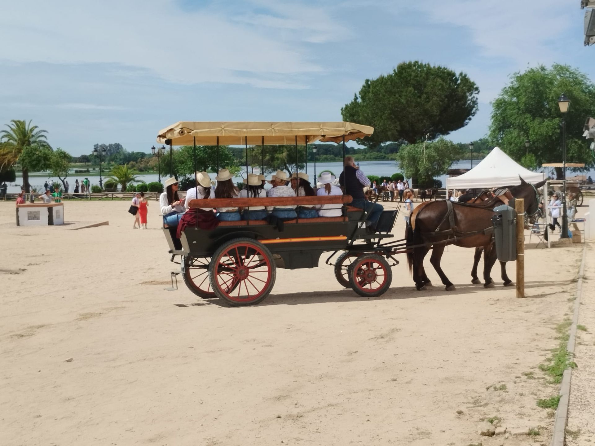 Coche de caballos tirado por mulos en un paseo nocturno por la Aldea del Rocío, Huelva.