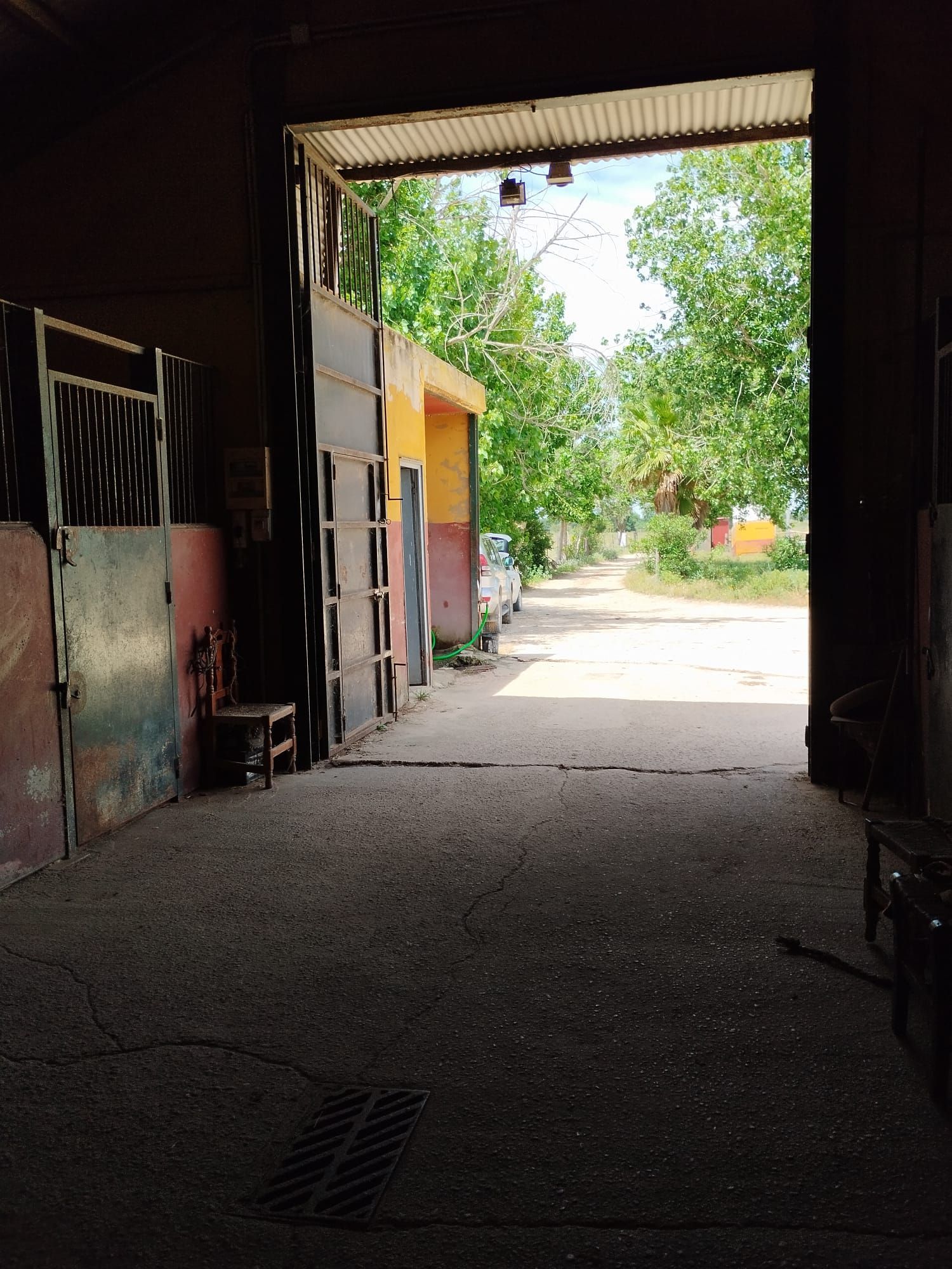 Vista desde el interior de un garaje oscuro con vista a una carretera iluminada por el sol, bordeada de árboles y un edificio colorido.