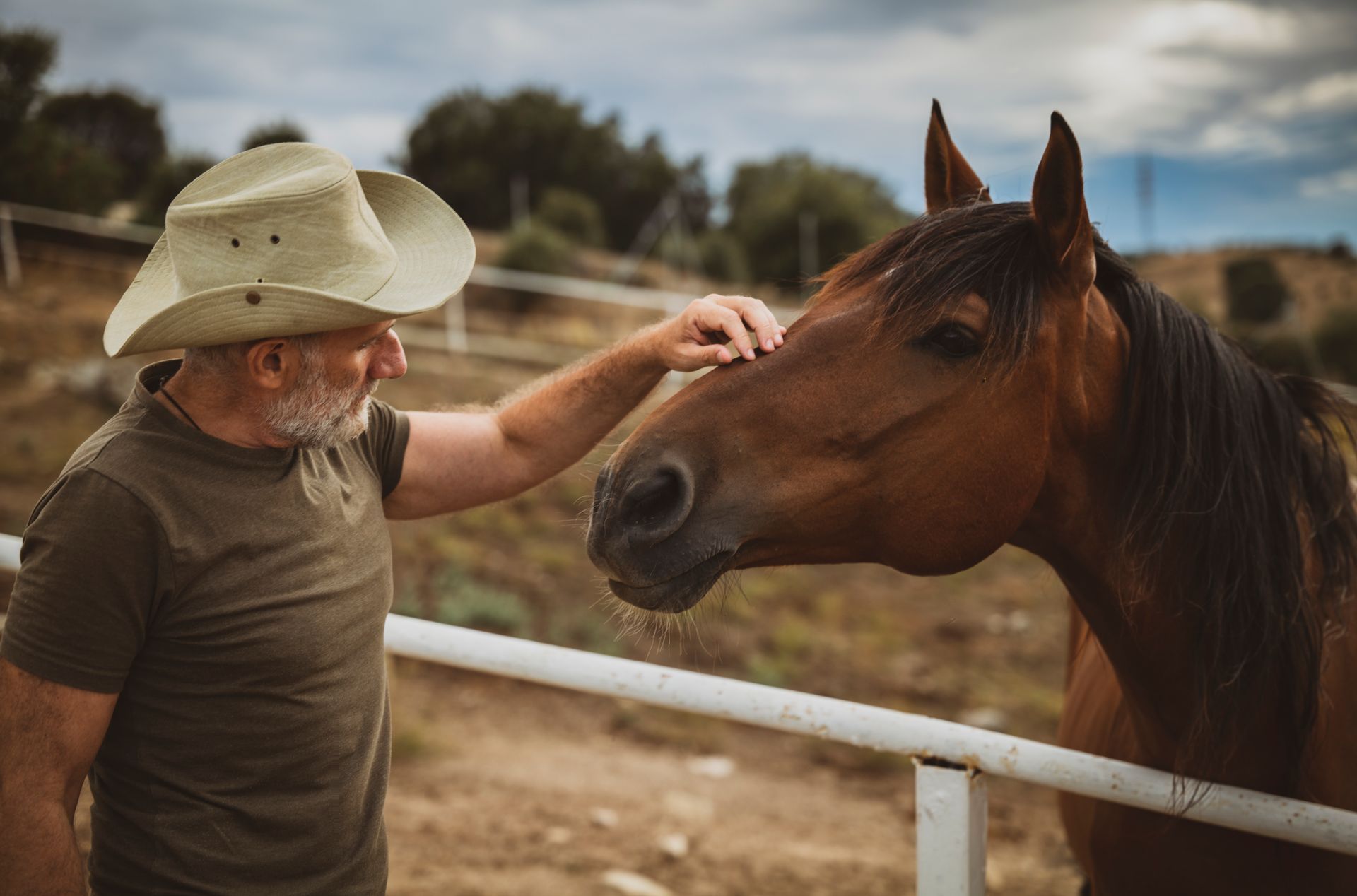 Excursión de caballos por la Aldea del Rocío, Huelva.