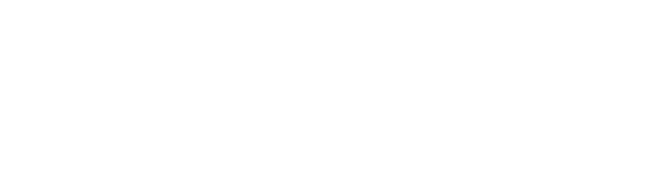 The Verge Logo