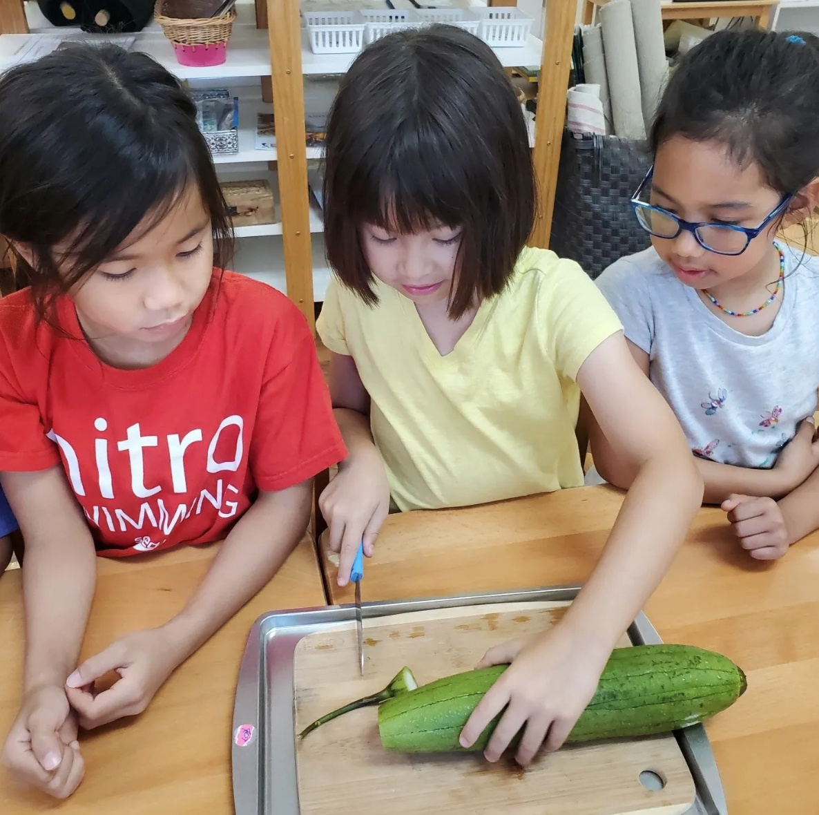 lakecreek-montessori-international-school