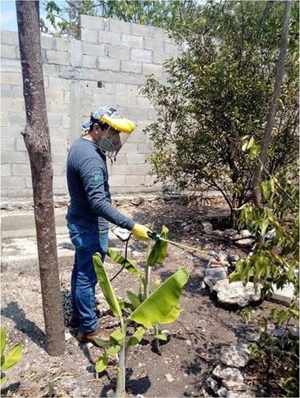 Un hombre está rociando una planta con un pulverizador en un jardín.