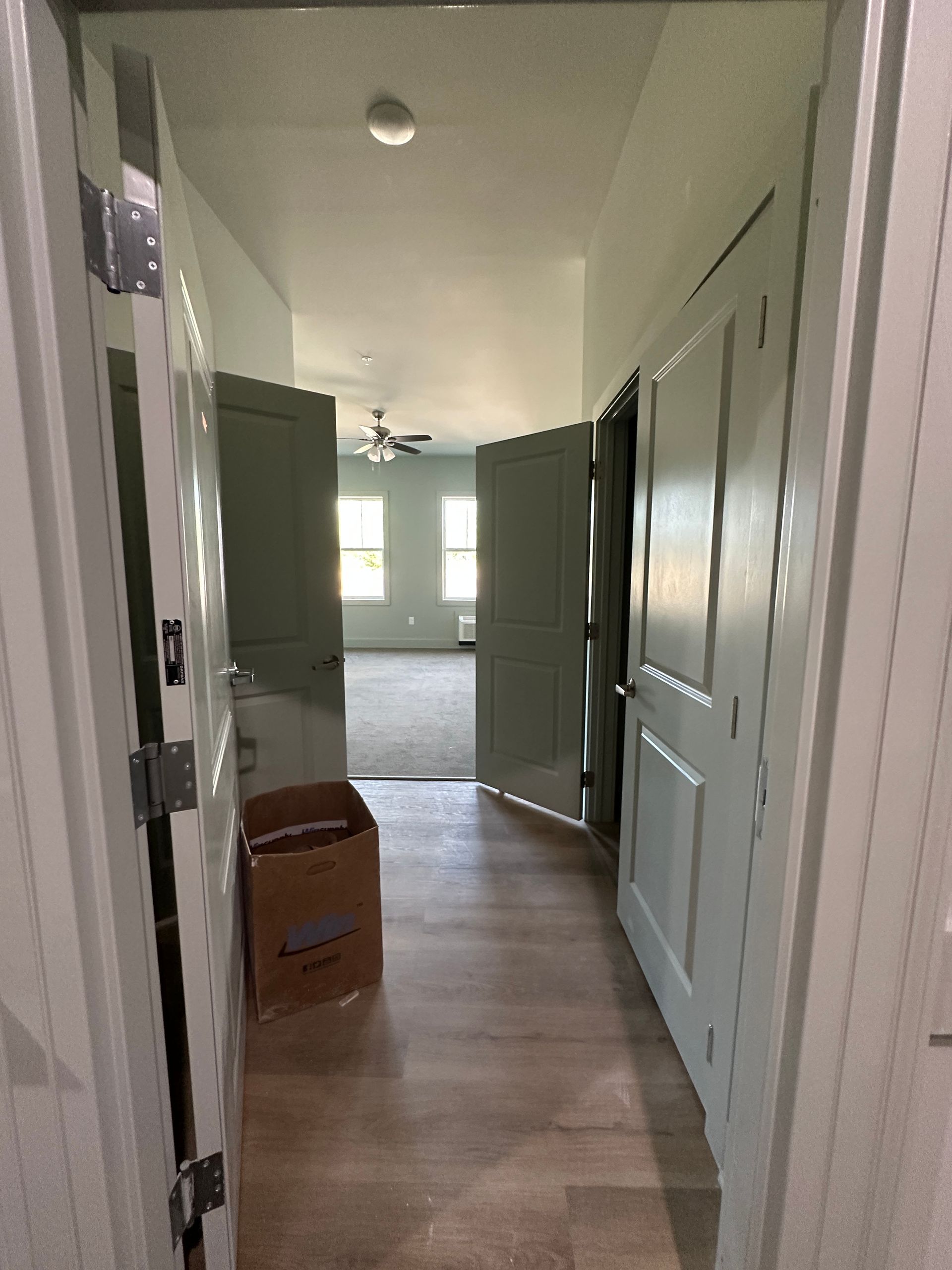 View through a doorway into a hallway with light wood floors, gray walls, and open doors leading to a carpeted room.