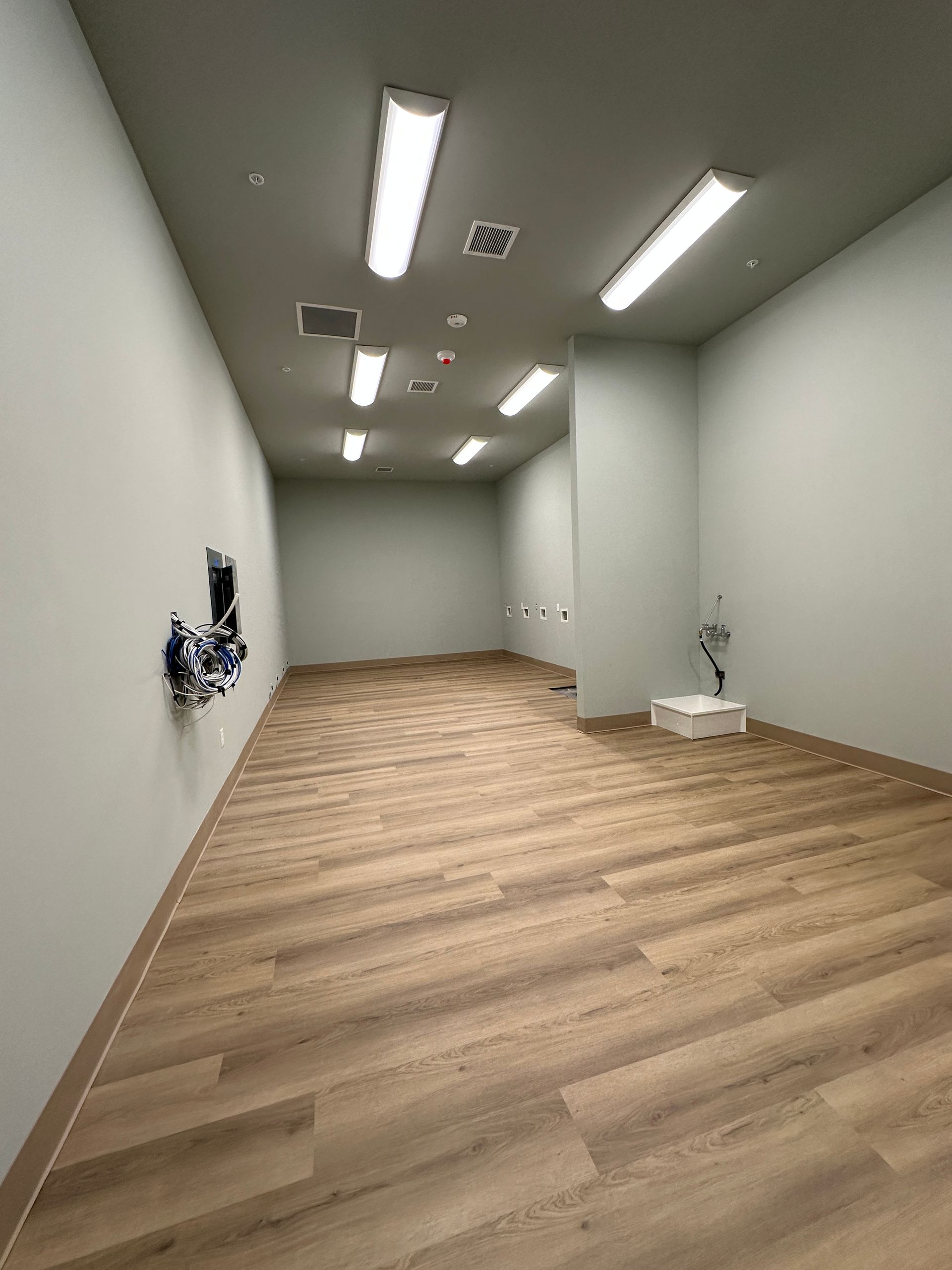 Empty long, narrow room with wood-look flooring, light-colored walls, and multiple ceiling light fixtures.