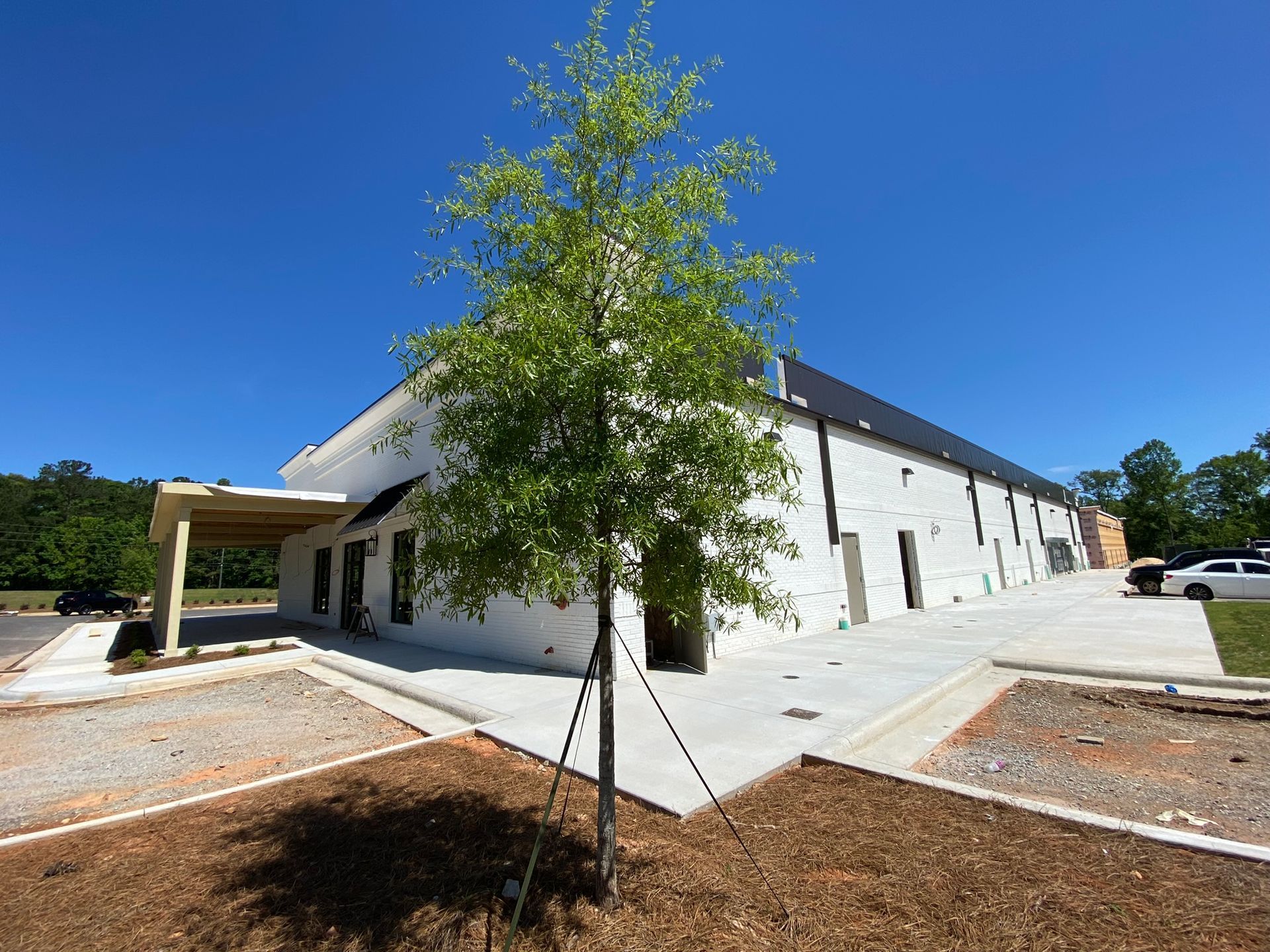 A large white building with a tree in front of it.