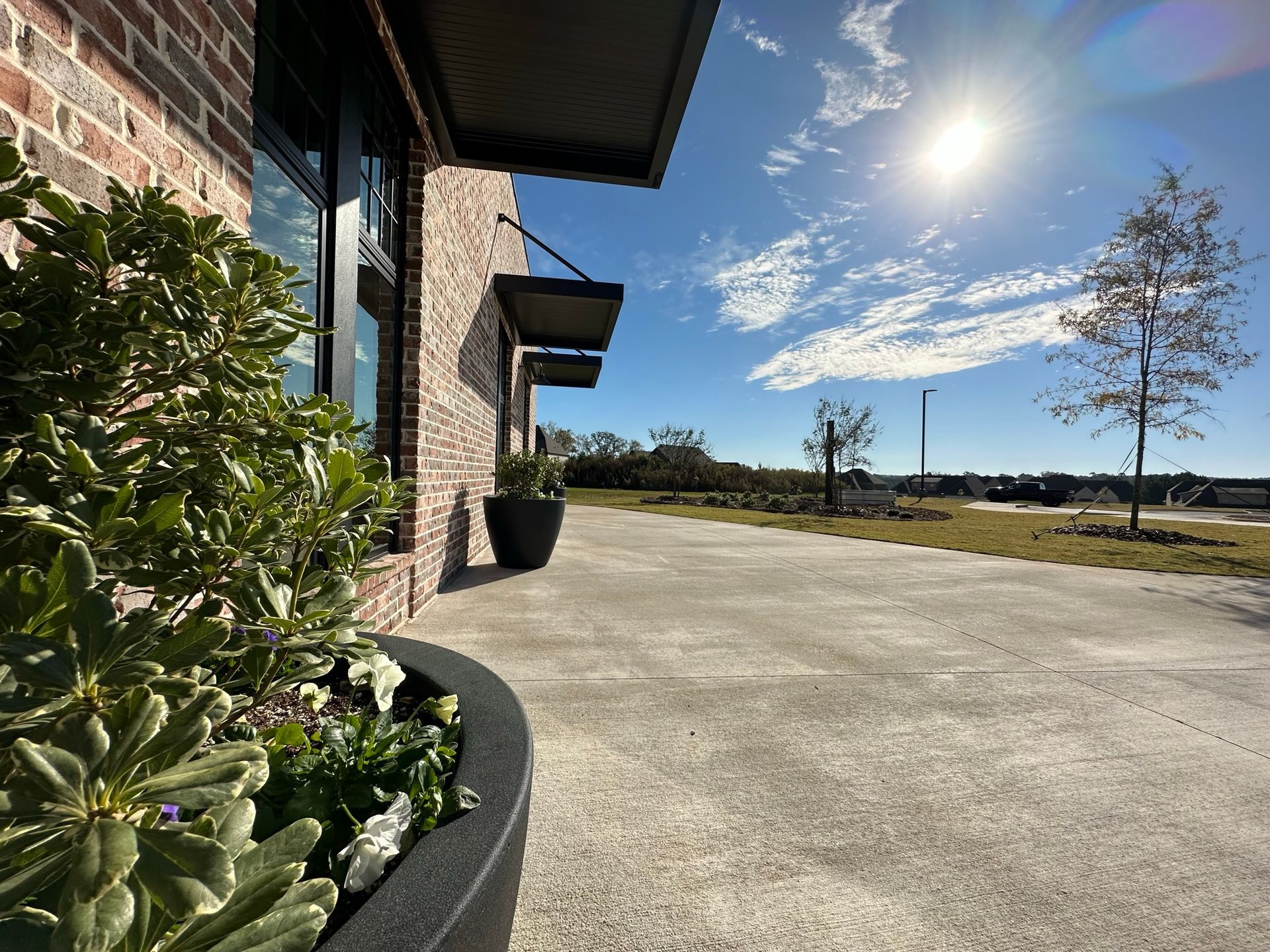 A potted plant is in front of a brick building on a sunny day.
