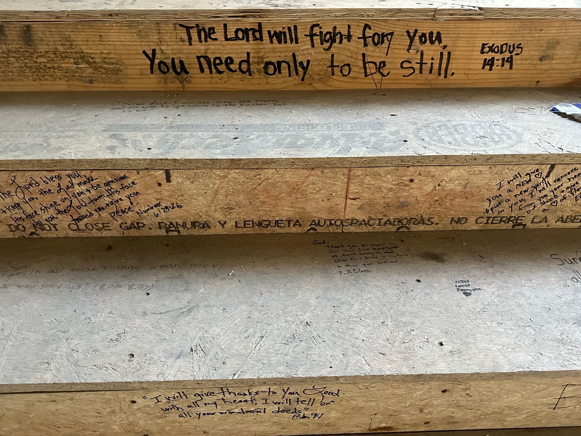 The lord will fight for you you need only to be still