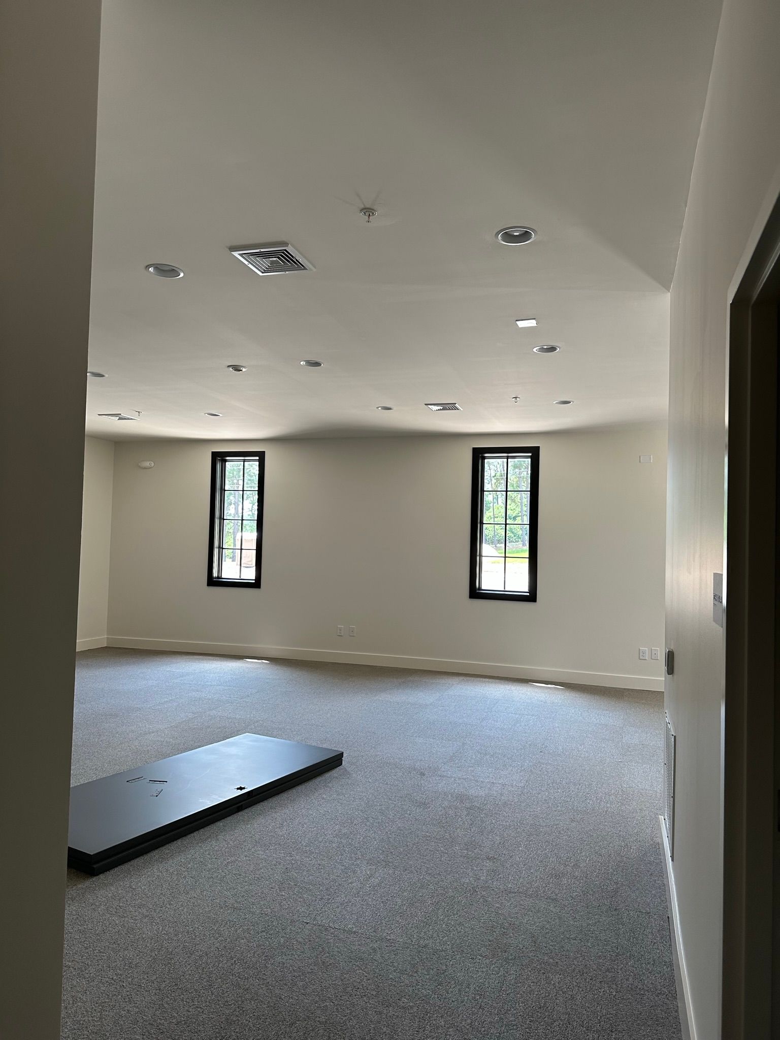 A large empty room with a carpeted floor and two windows.