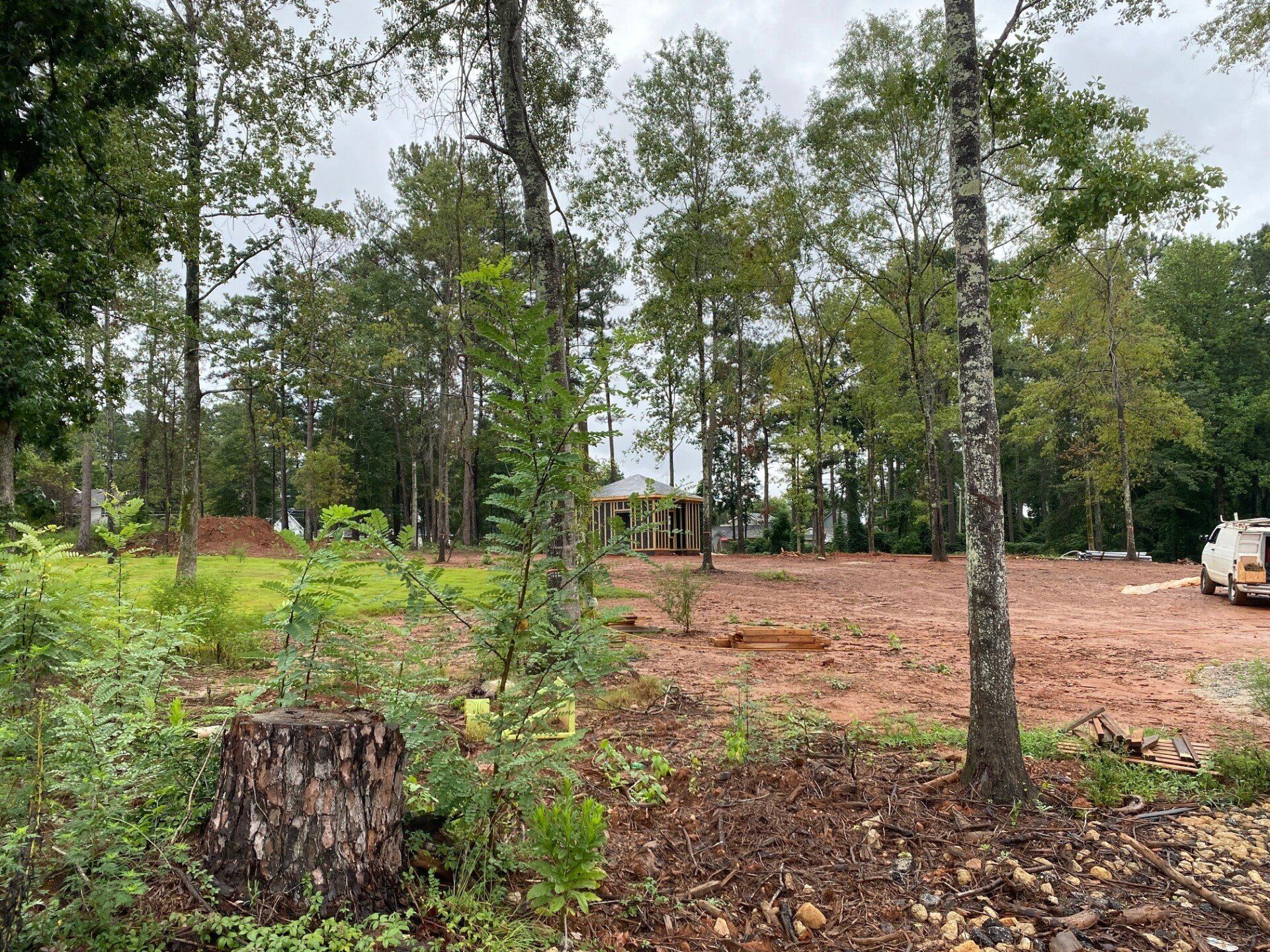 A stump in the middle of a dirt field surrounded by trees.