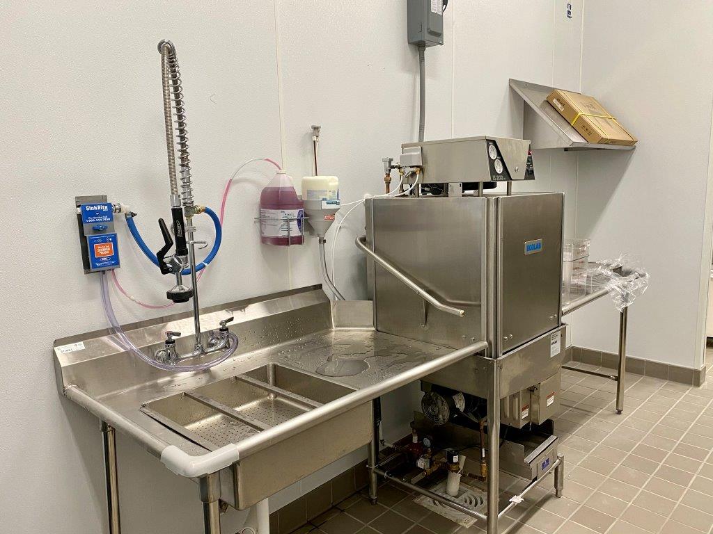 A stainless steel sink with a dishwasher in a kitchen.