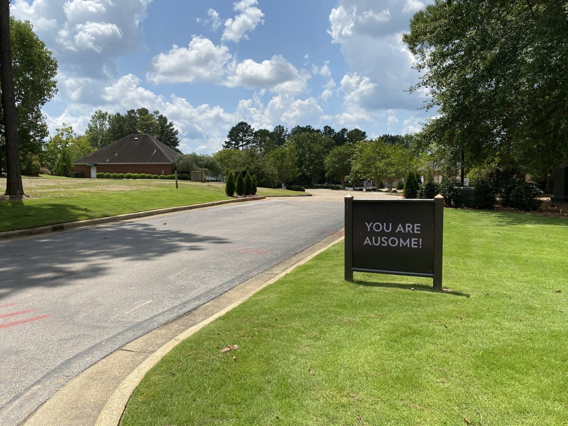 A sign on the side of a road that says you are ausome !