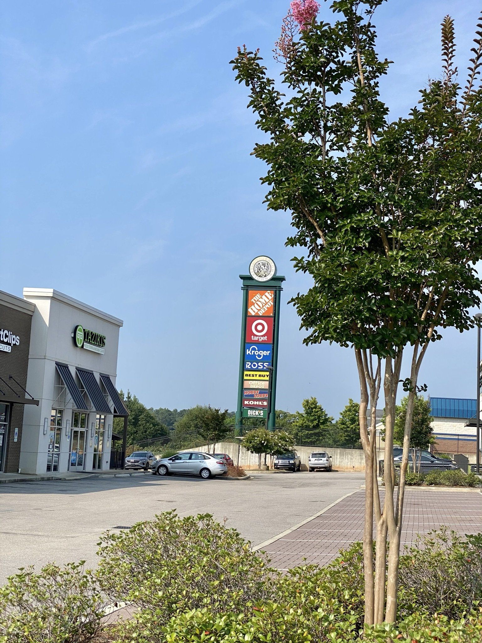 A tree in front of a store with a sign that says ' abc ' on it