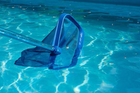 Maintenance — Net for Cleaning Pool in Pueblo, CO