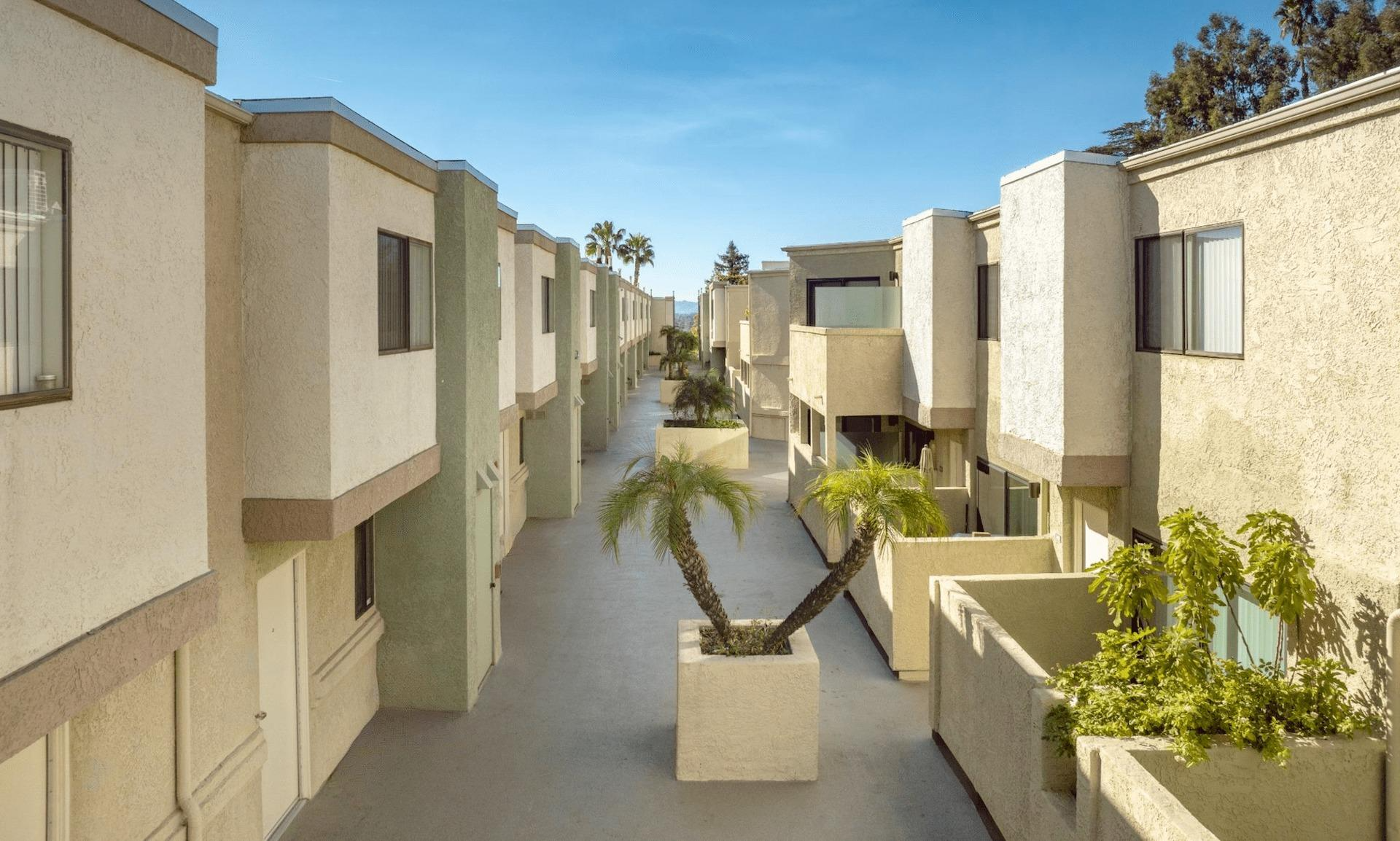 A row of apartment buildings with a palm tree in the middle